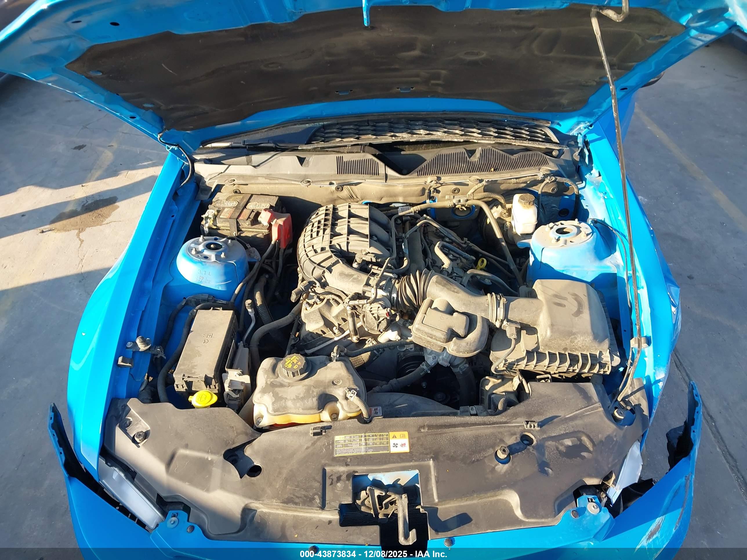 FORD MUSTANG image 10