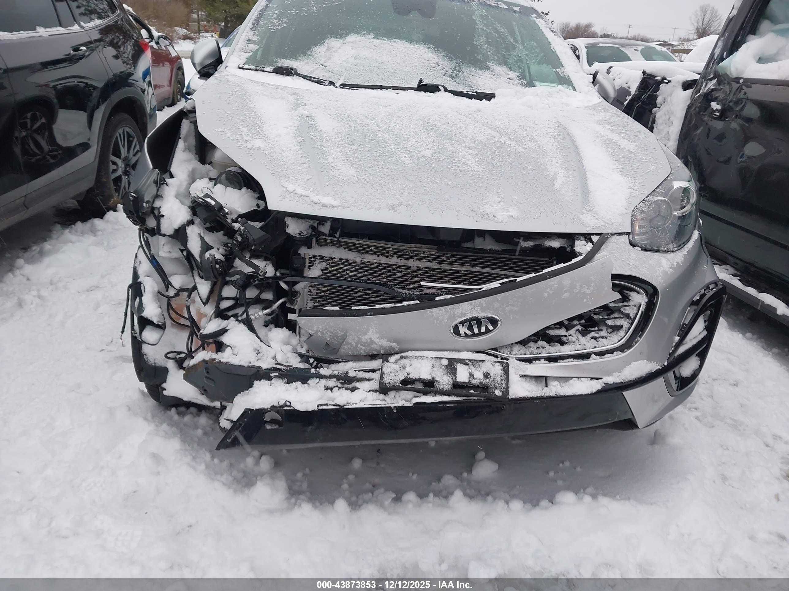 KIA SPORTAGE image 6