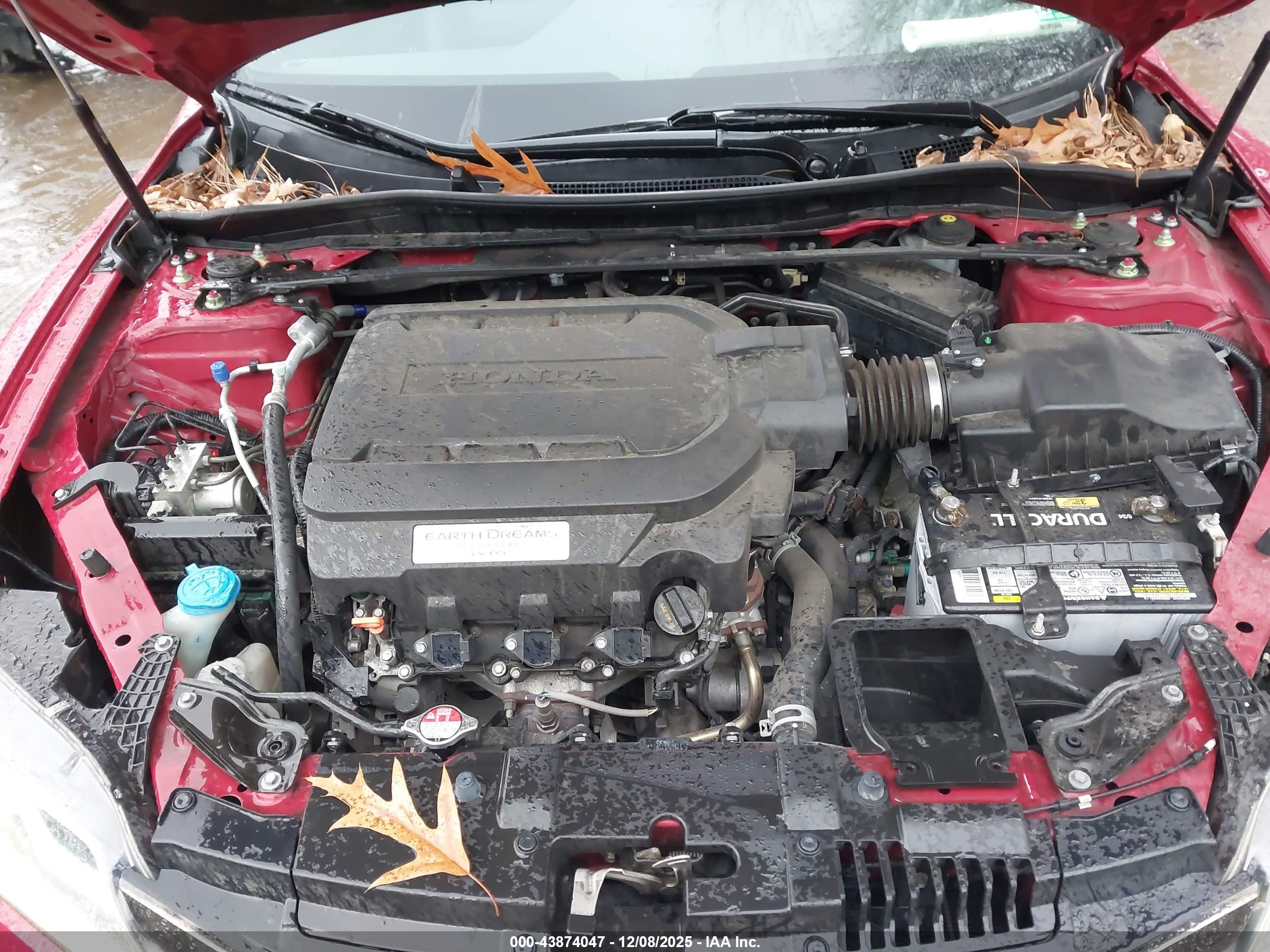 HONDA ACCORD image 10