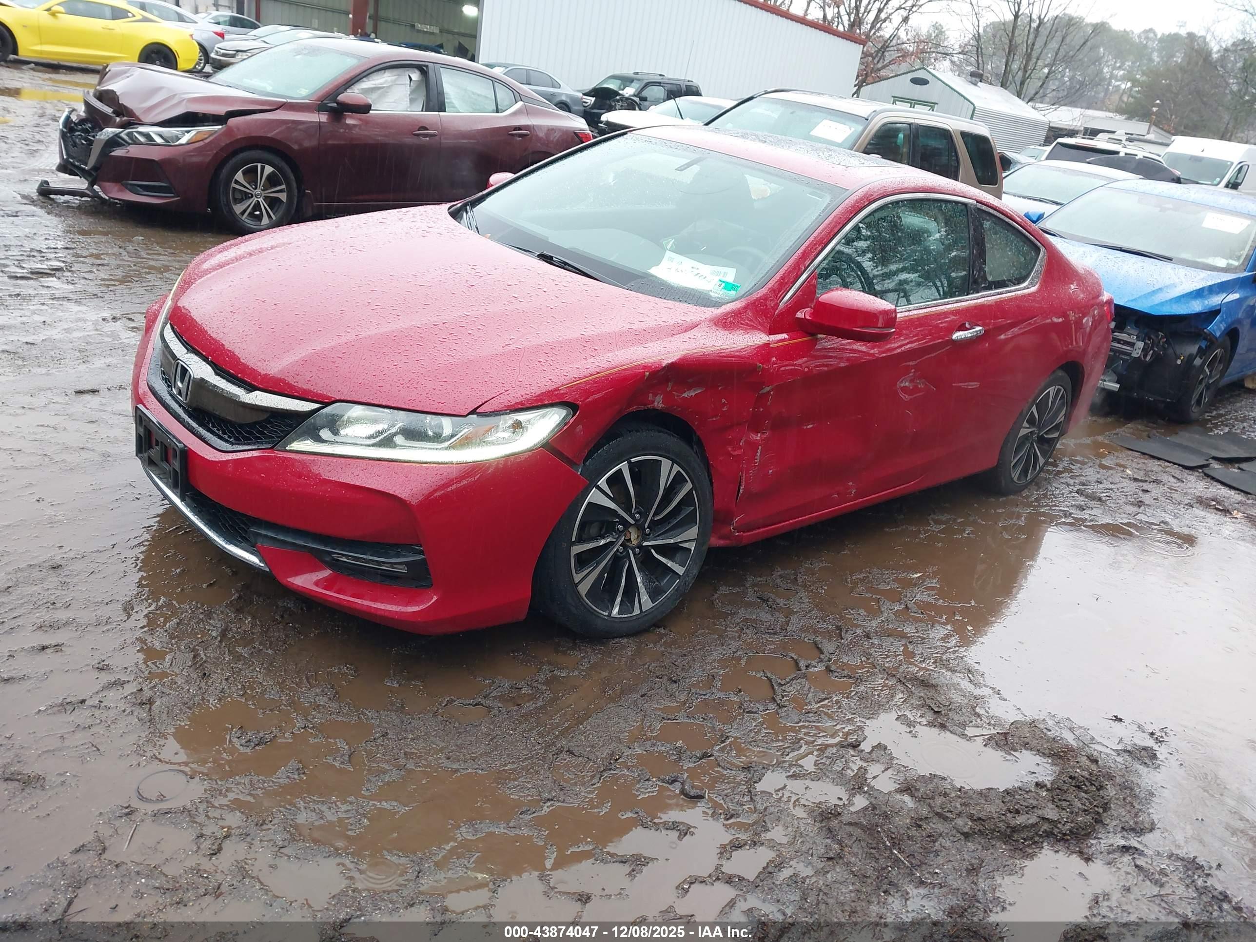HONDA ACCORD image 2