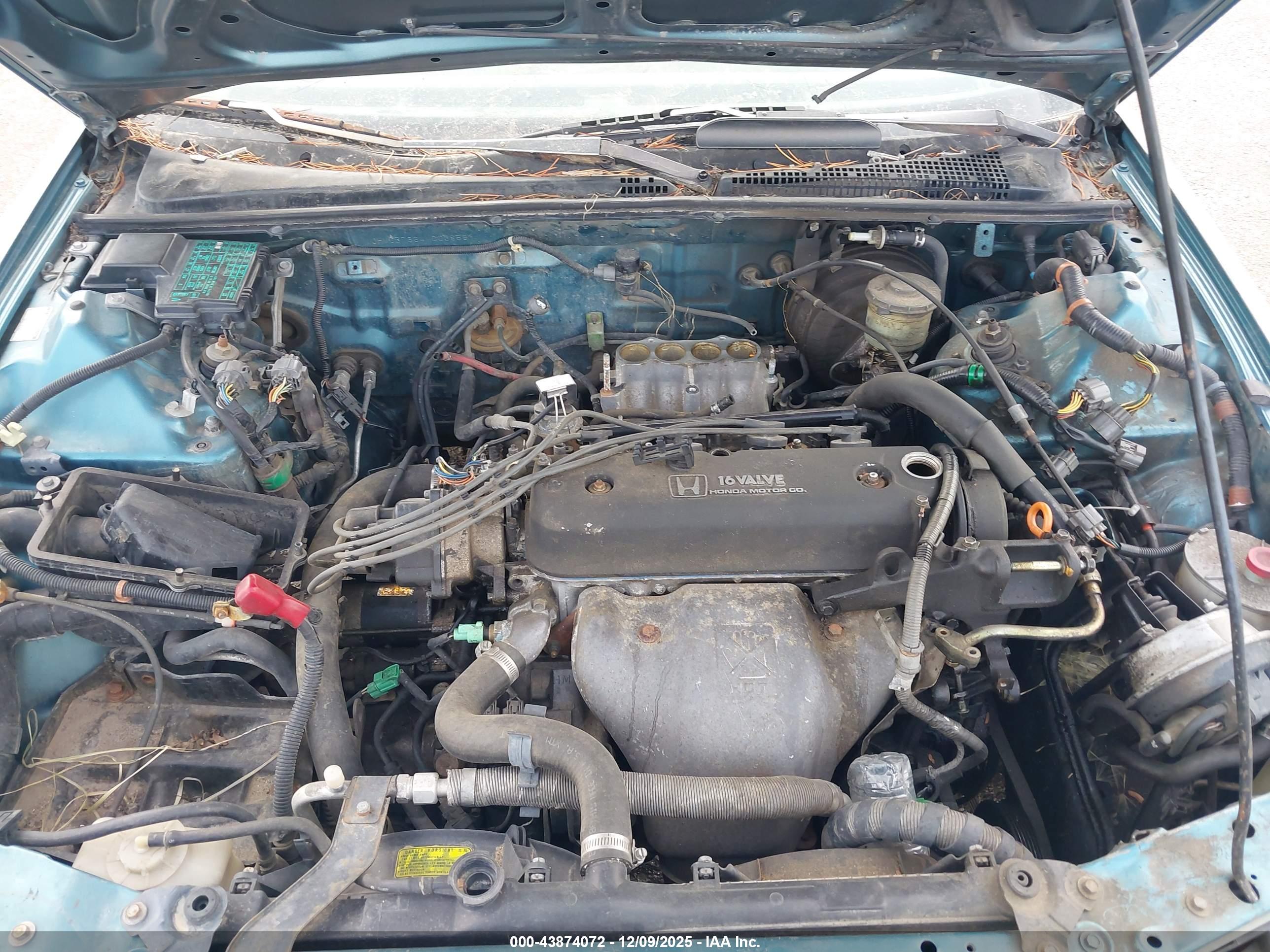 HONDA ACCORD image 10