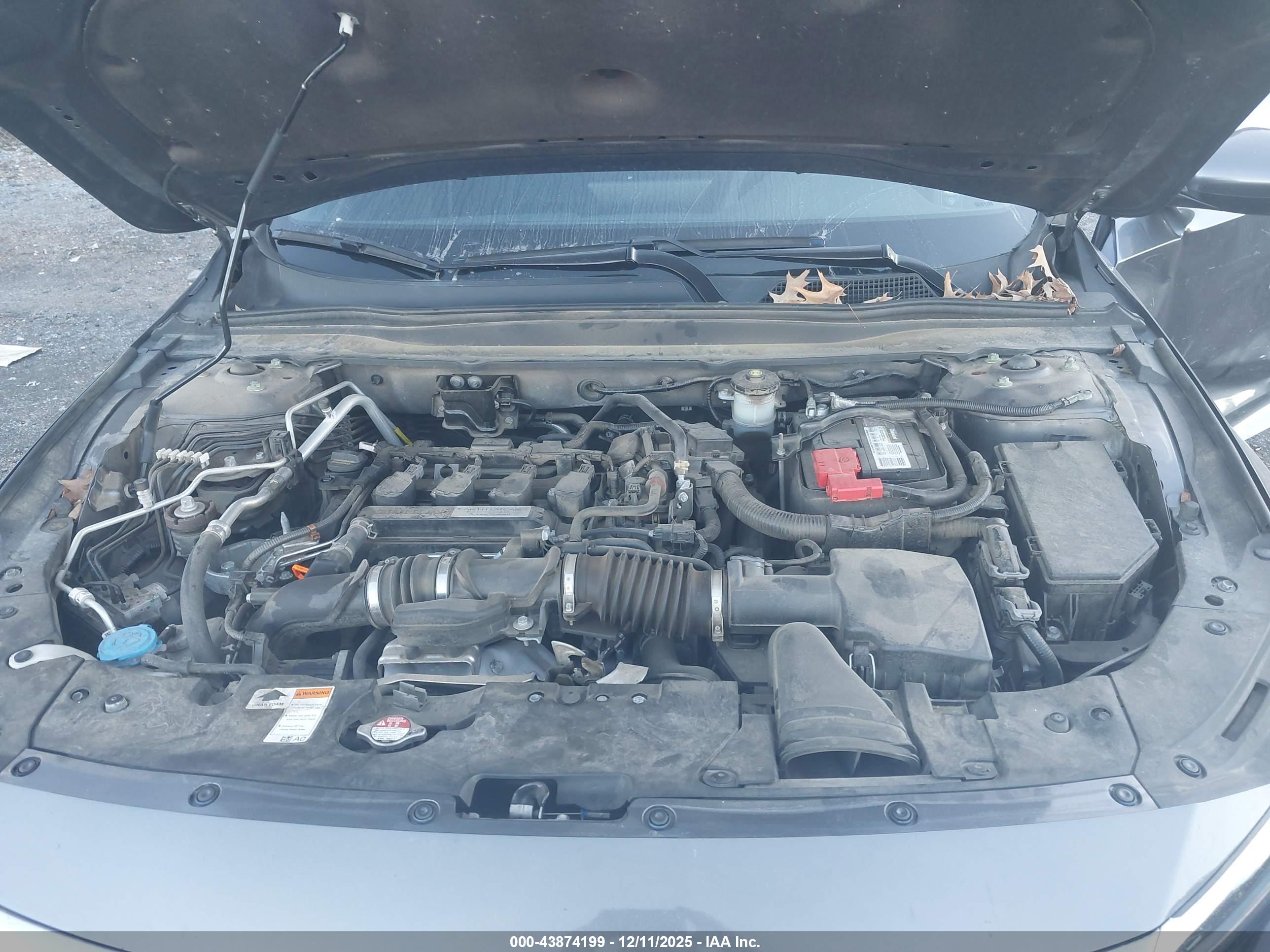 HONDA ACCORD image 10