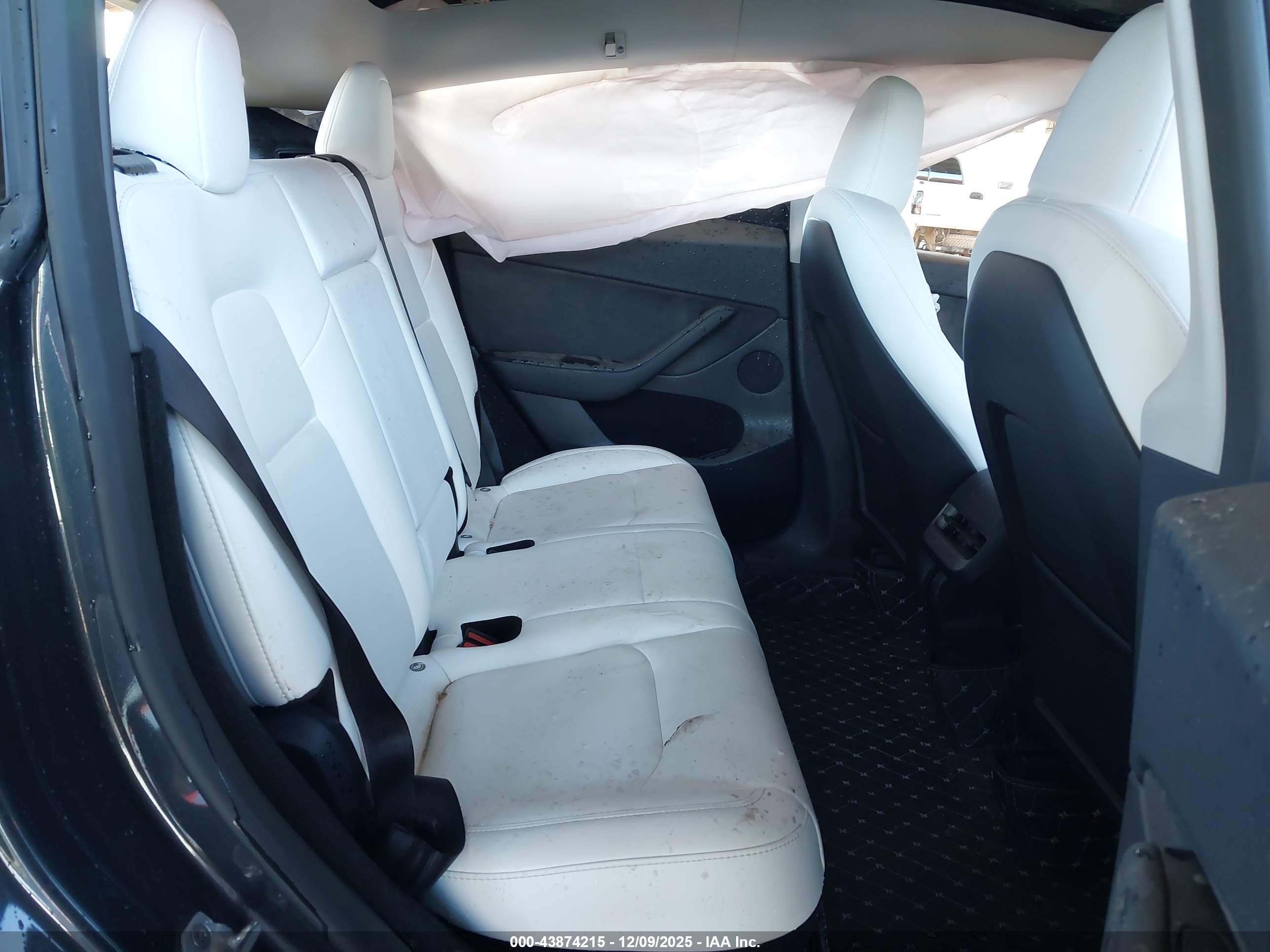 TESLA MODEL image 8