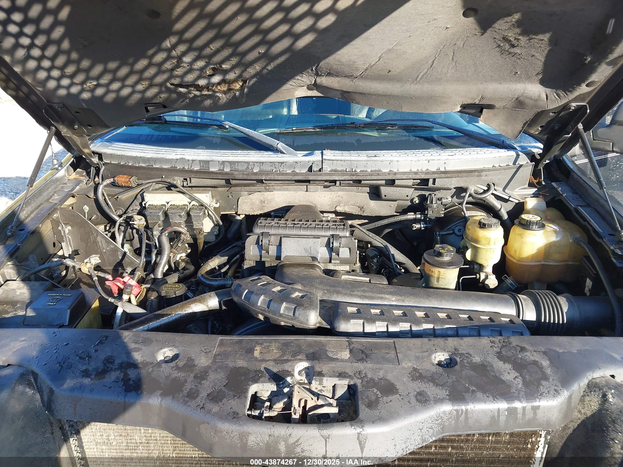 FORD F-150 image 10