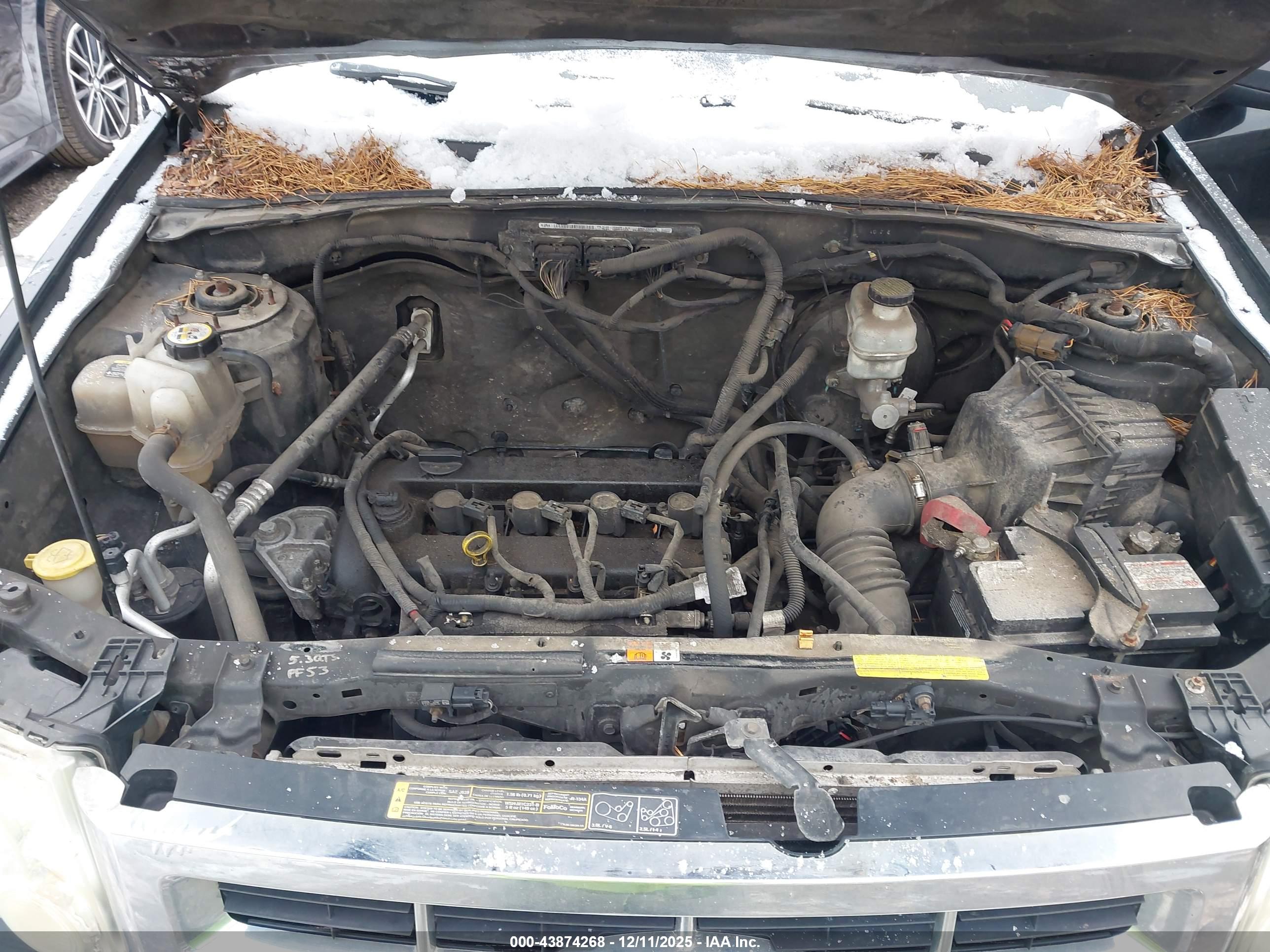 FORD ESCAPE image 10
