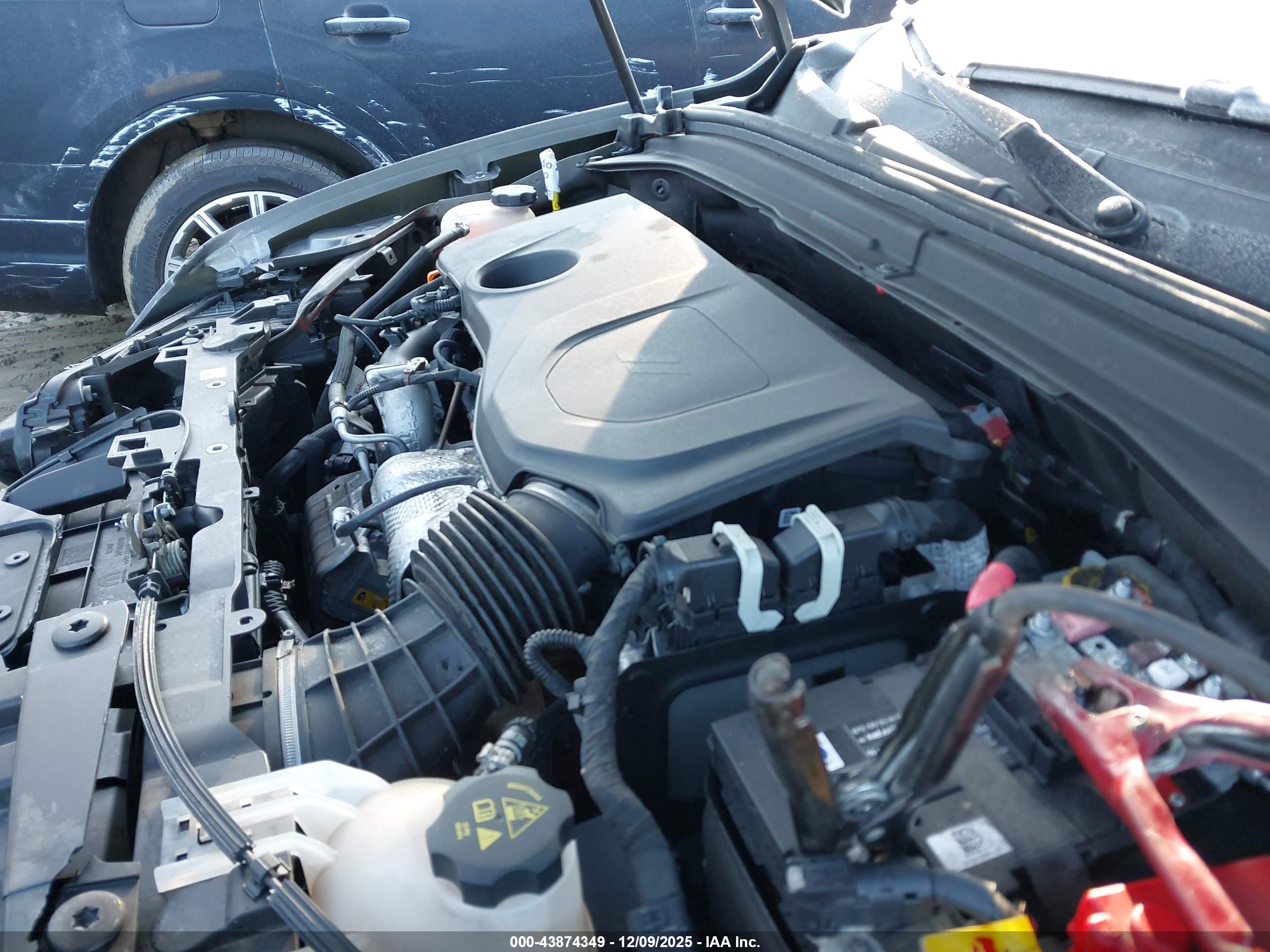 DODGE HORNET image 10