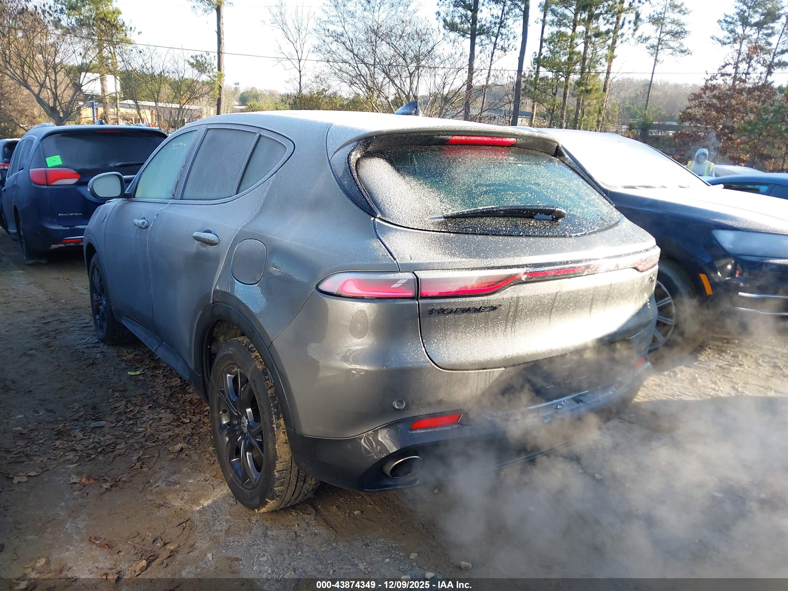 DODGE HORNET image 3