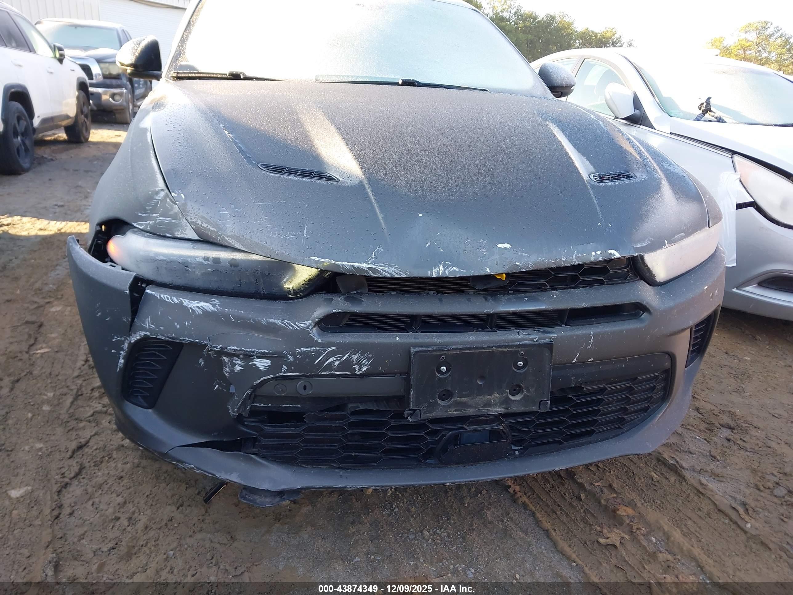 DODGE HORNET image 6