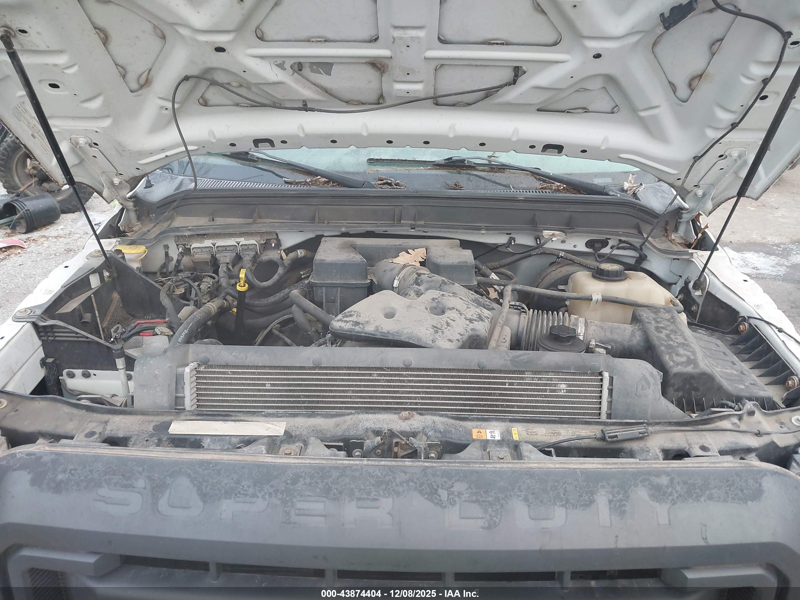 FORD F-250 image 10