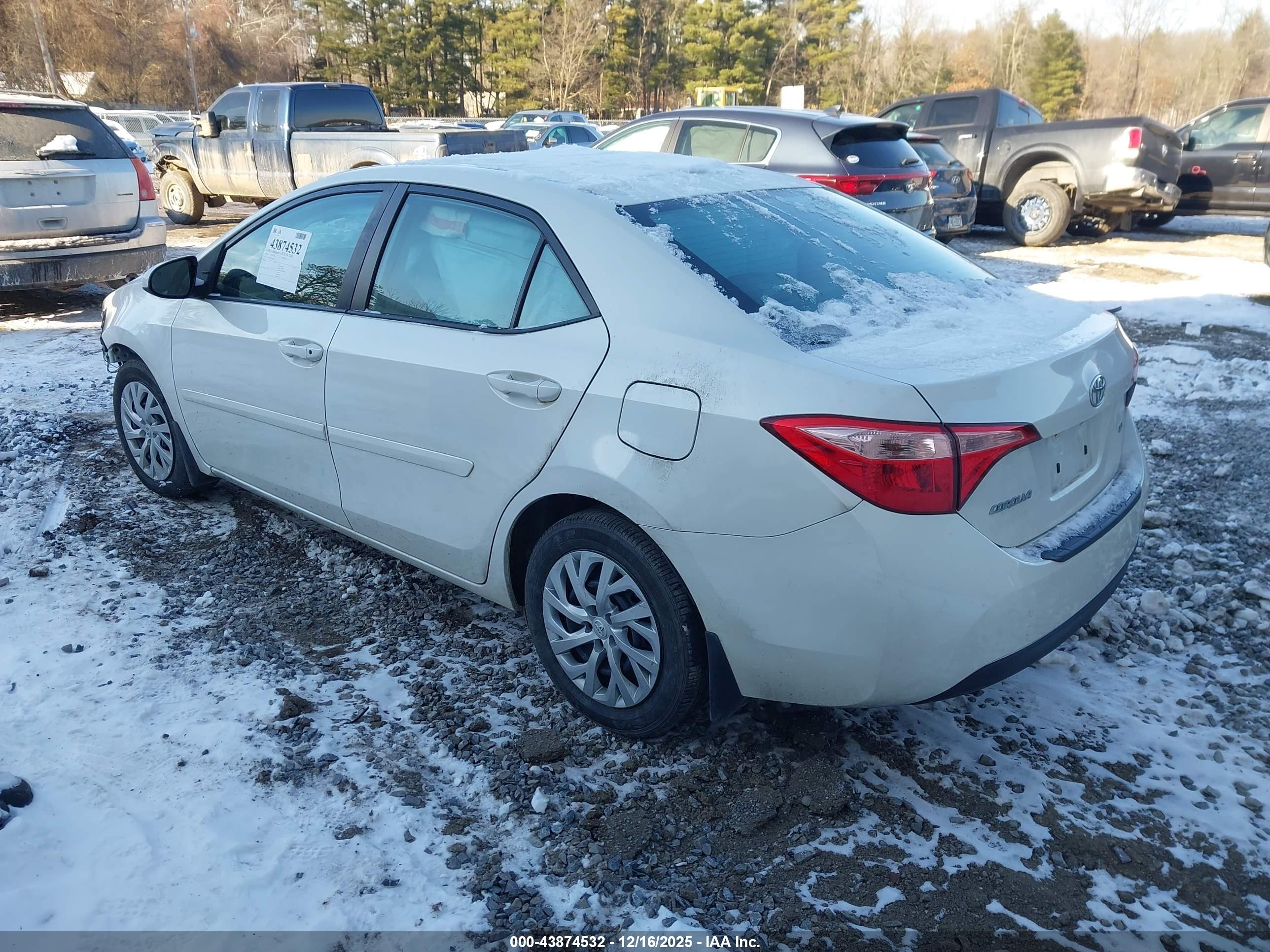 TOYOTA COROLLA image 3