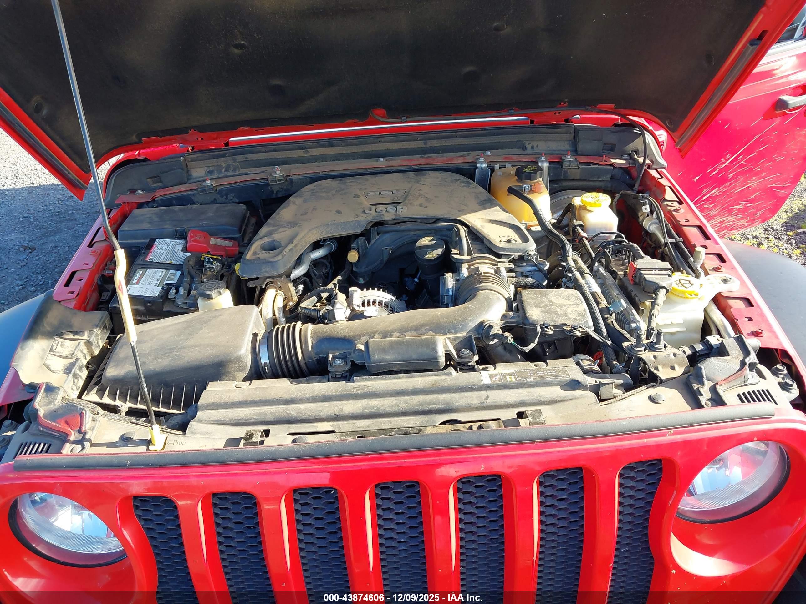 JEEP WRANGLER image 10