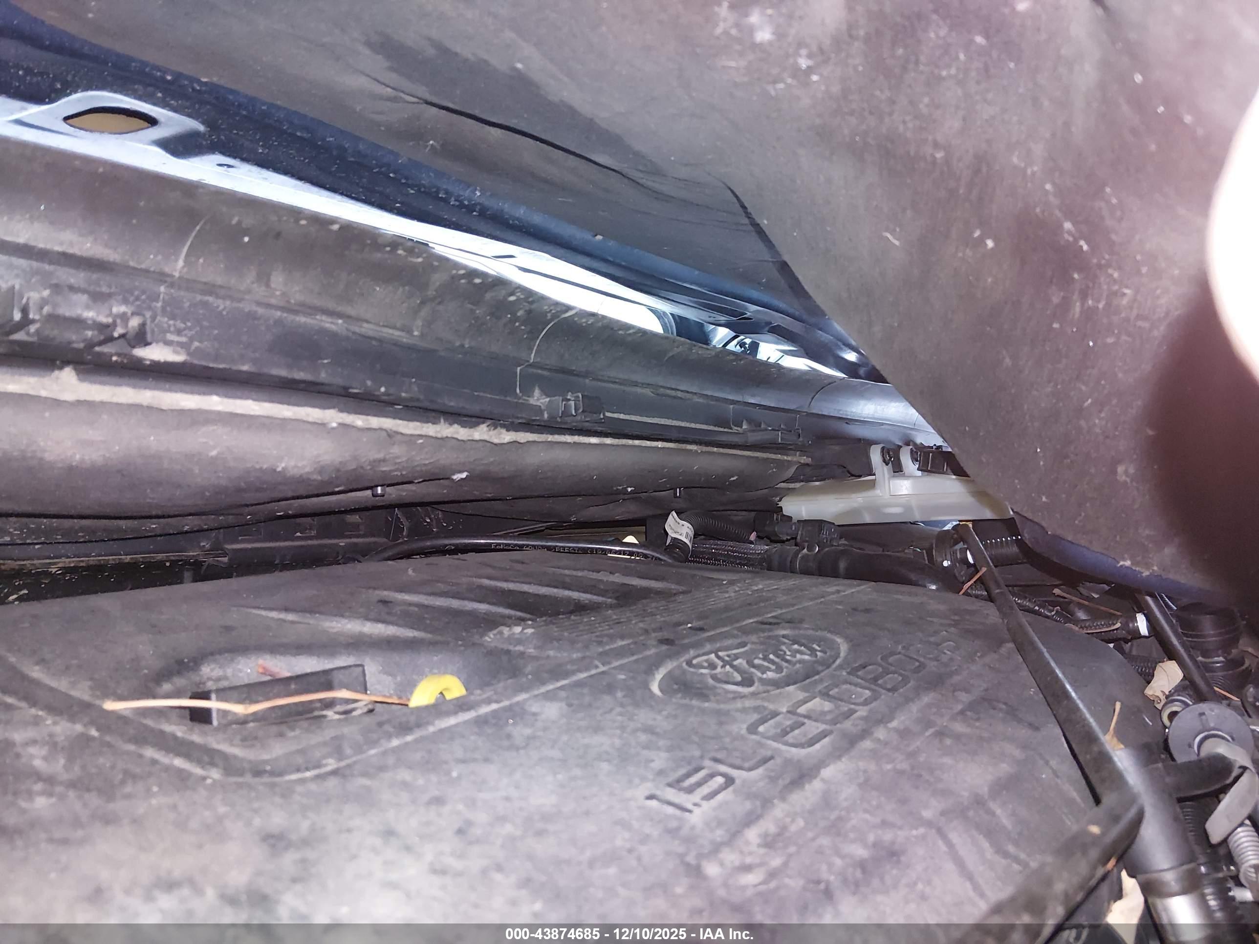 FORD ESCAPE image 10