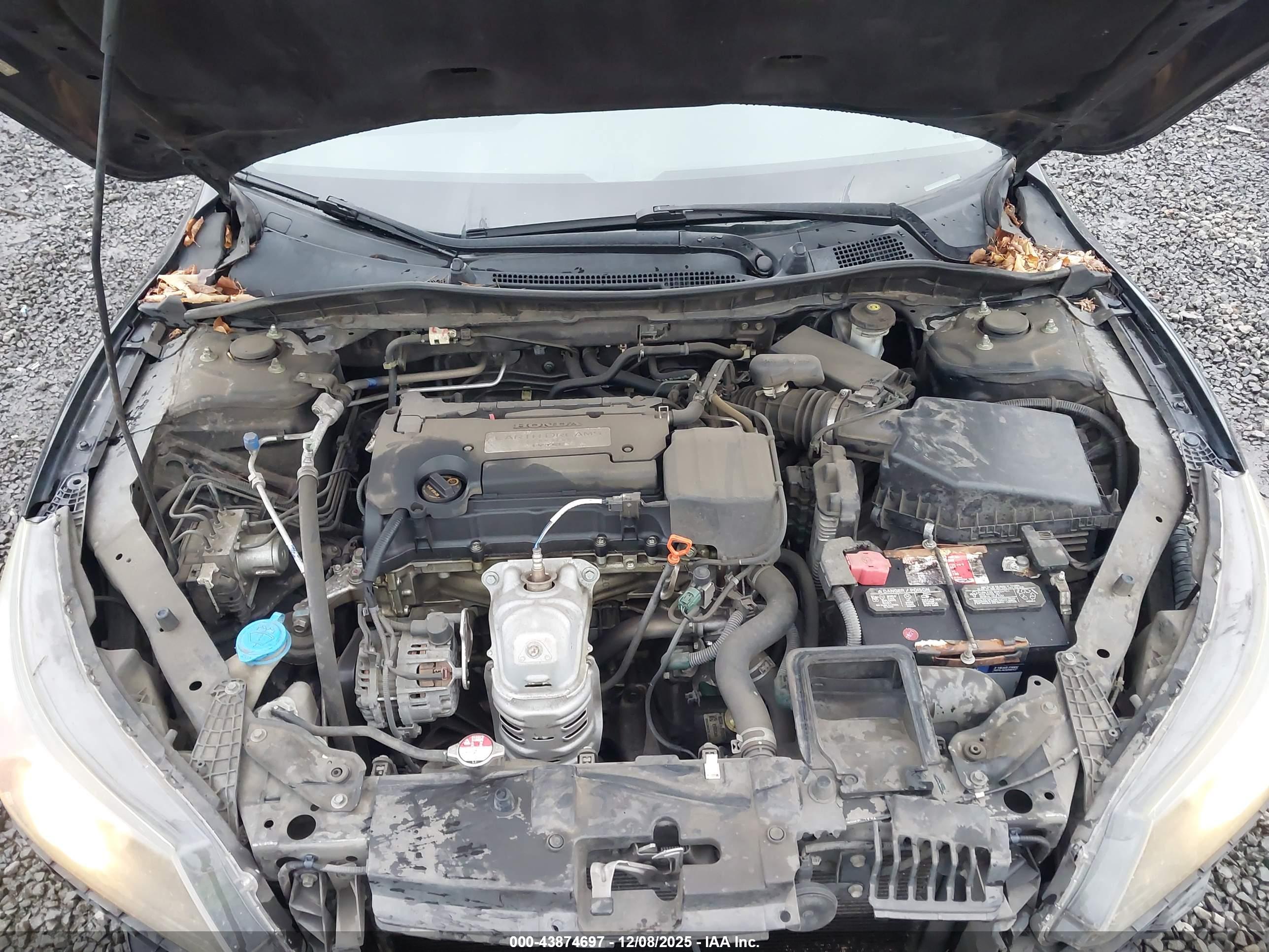 HONDA ACCORD image 10