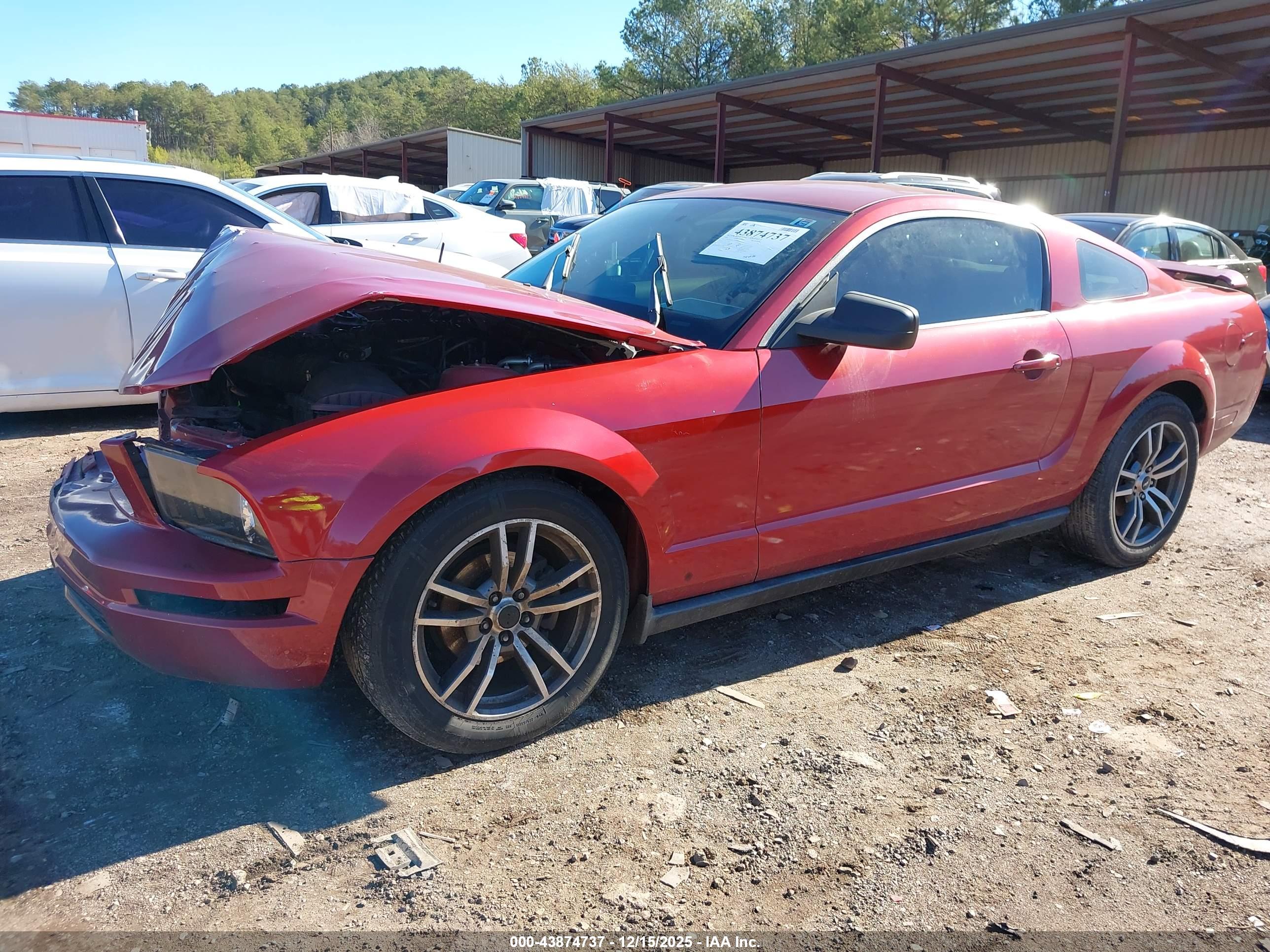 FORD MUSTANG image 2
