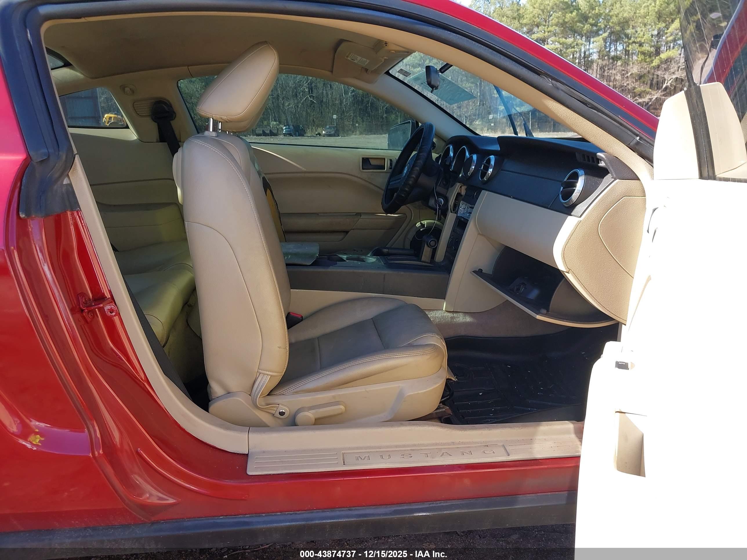 FORD MUSTANG image 5