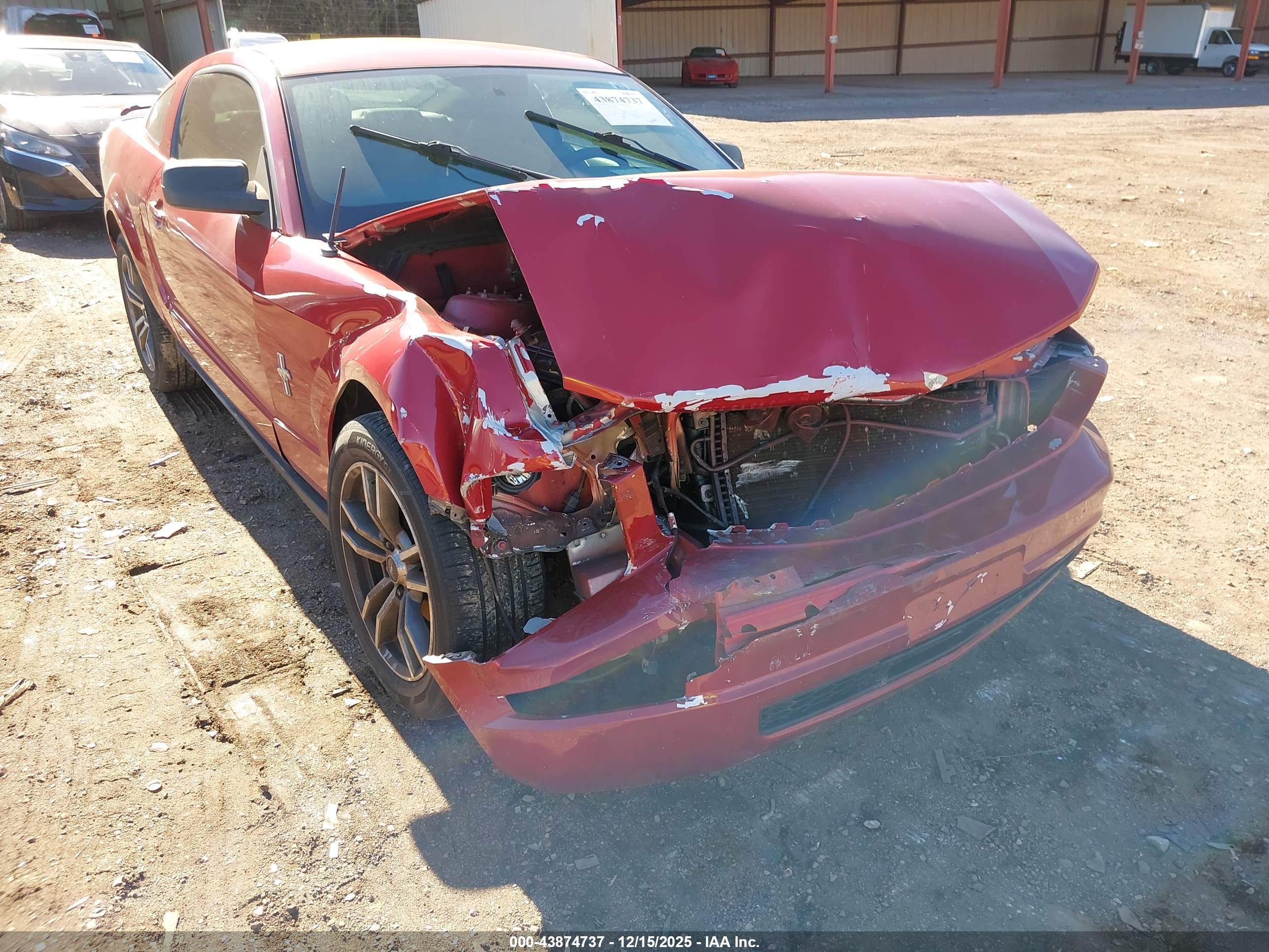 FORD MUSTANG image 6