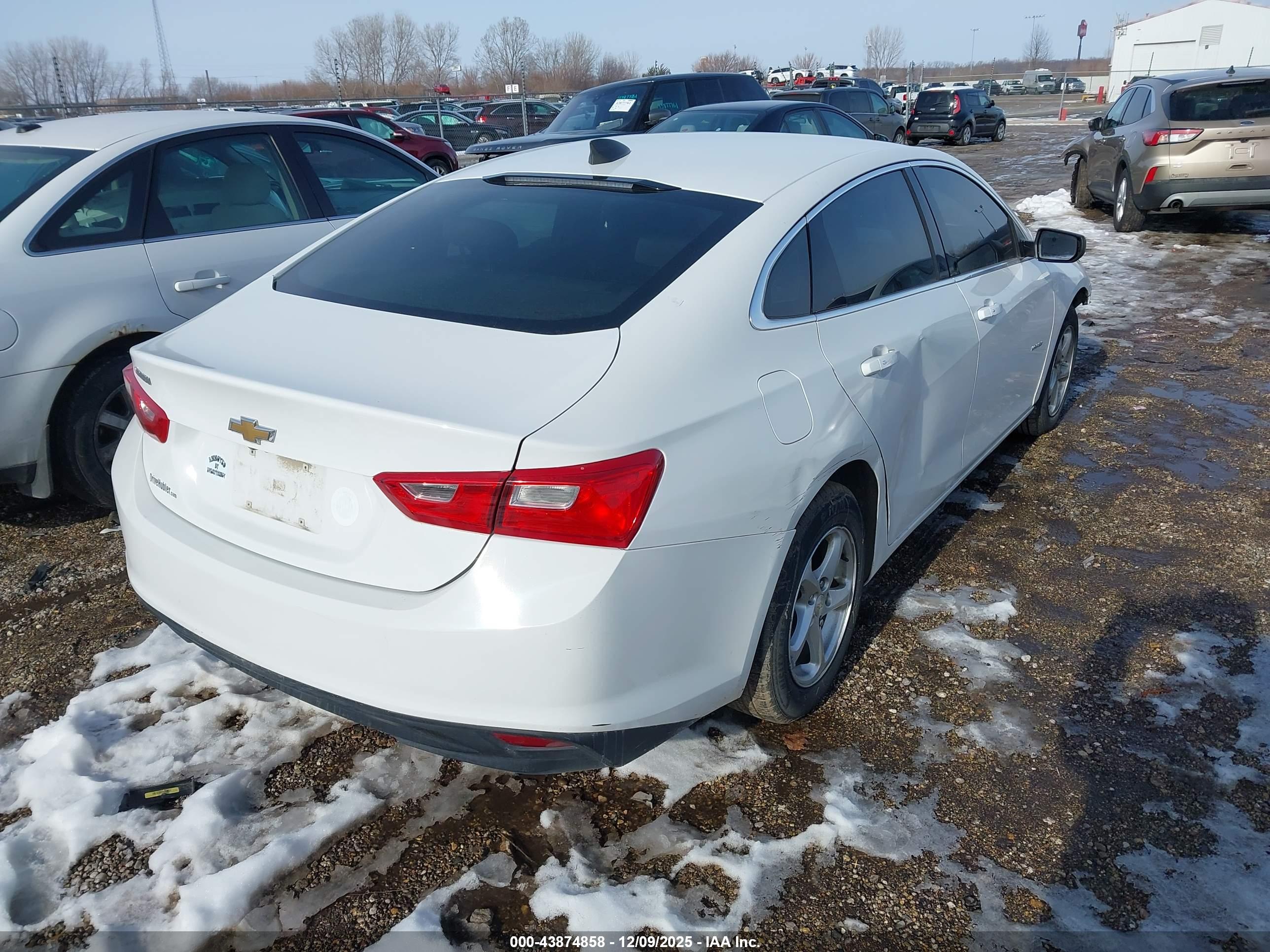 CHEVROLET MALIBU image 4