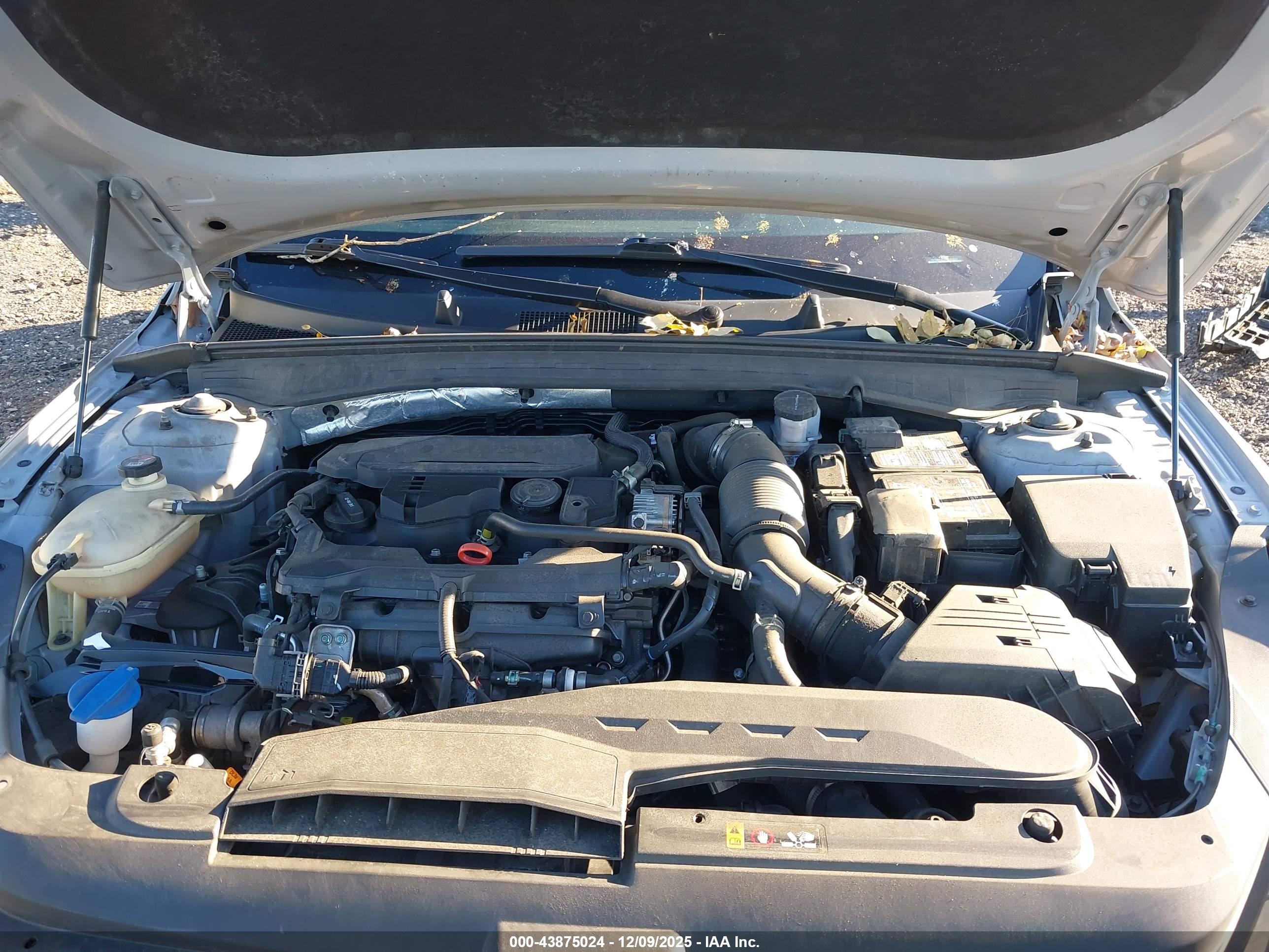 KIA K5 image 10