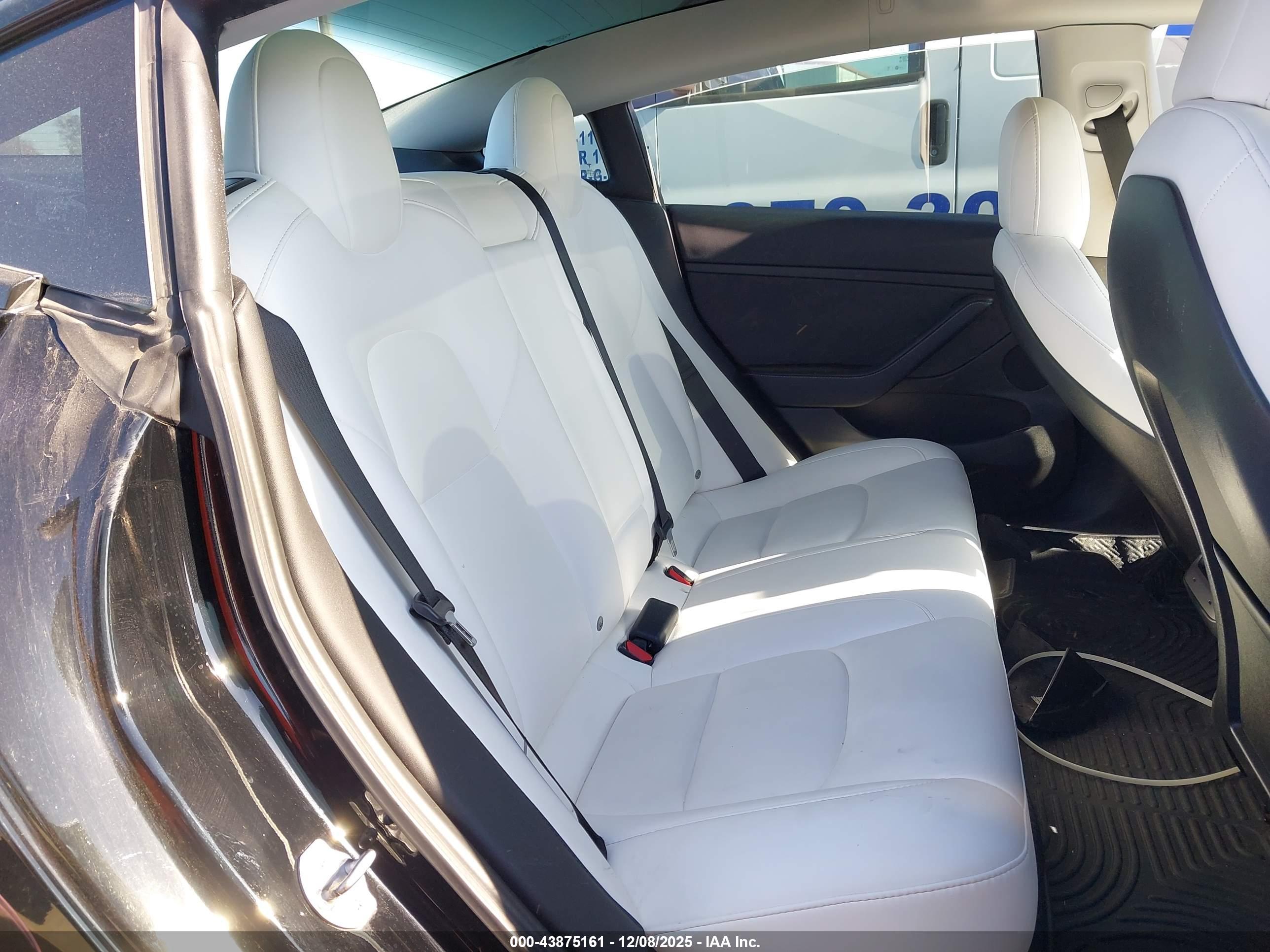 TESLA MODEL image 8