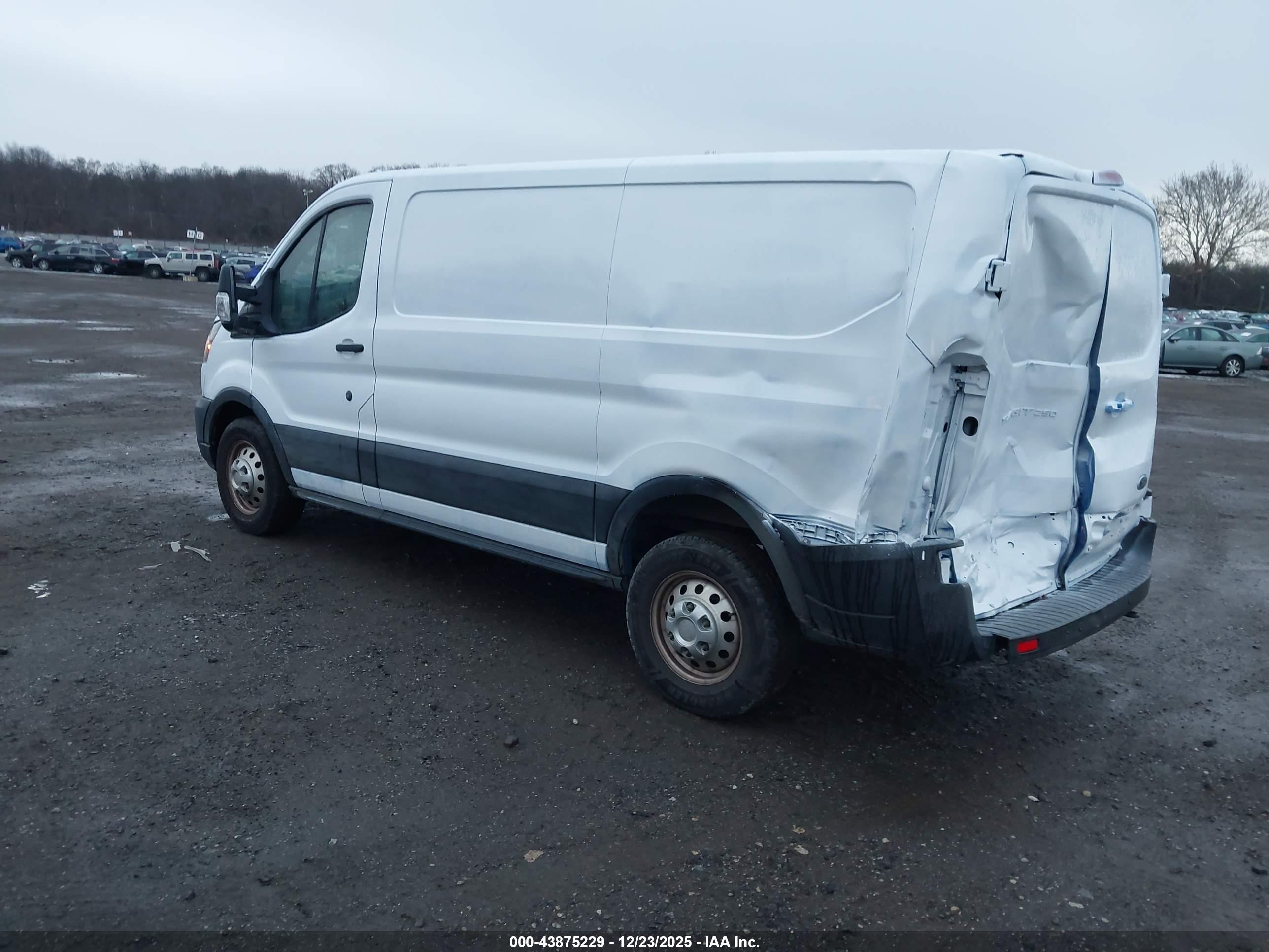 FORD TRANSIT-250 image 3