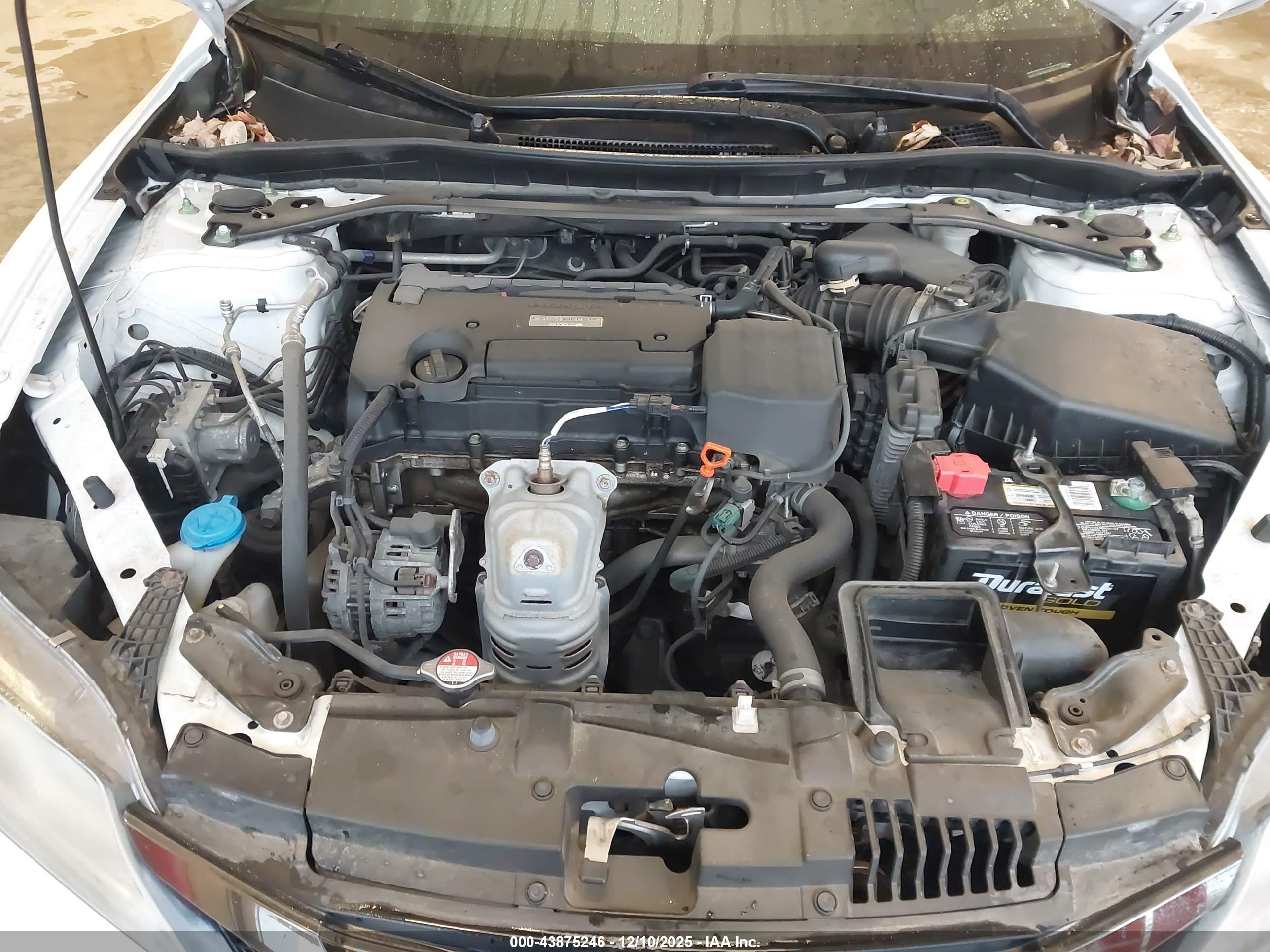 HONDA ACCORD image 10