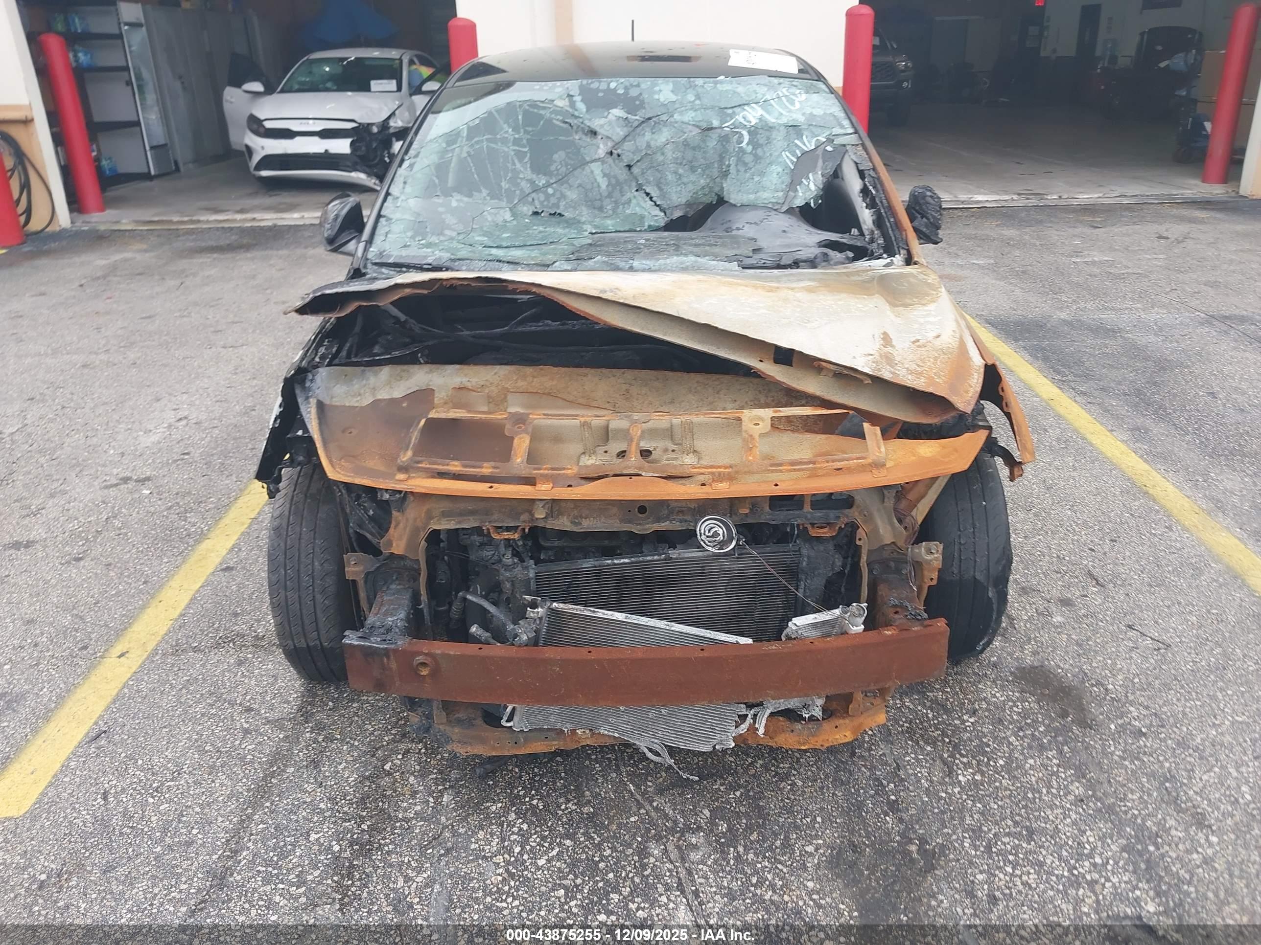 KIA RIO image 6