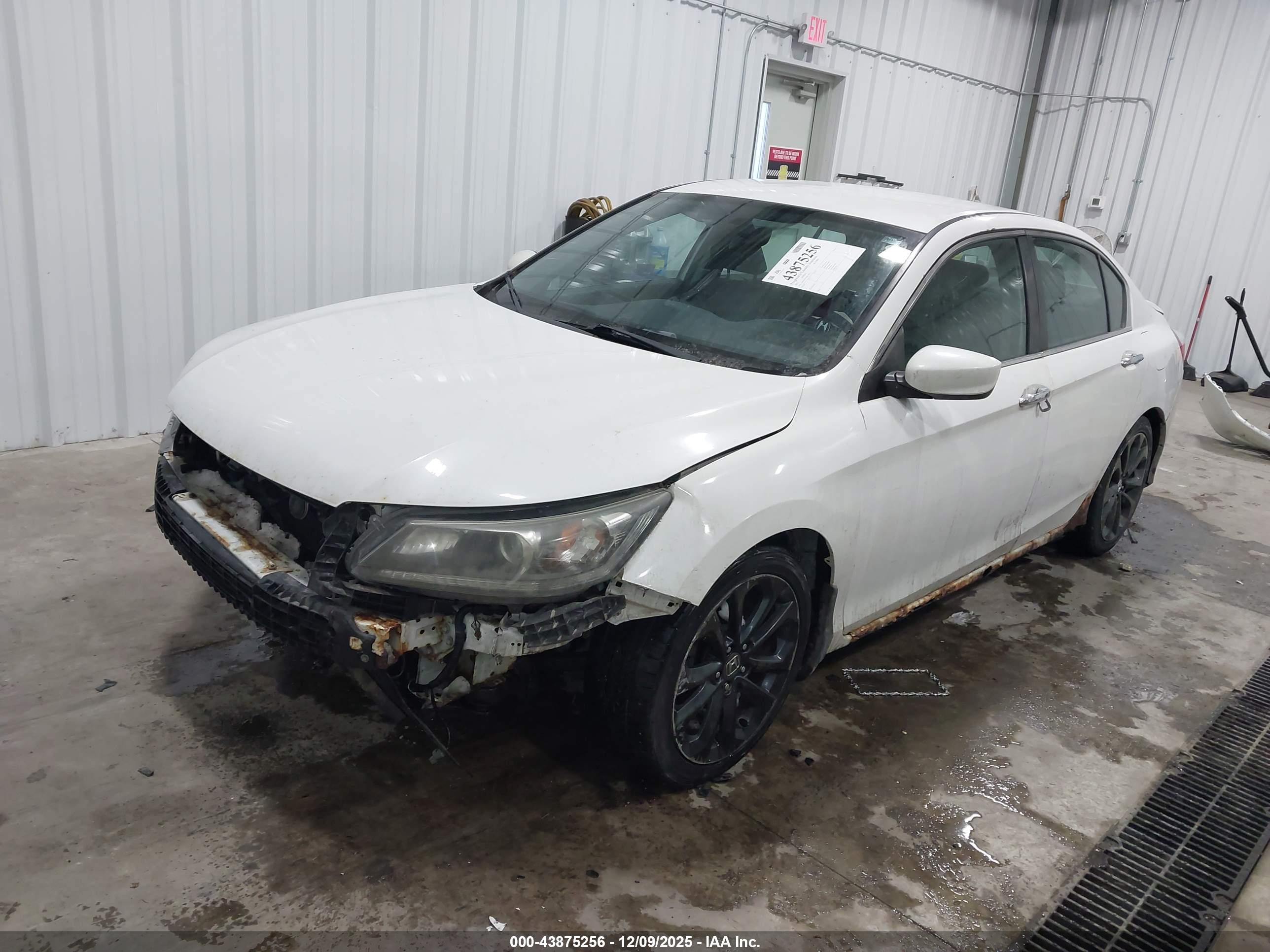 HONDA ACCORD image 2