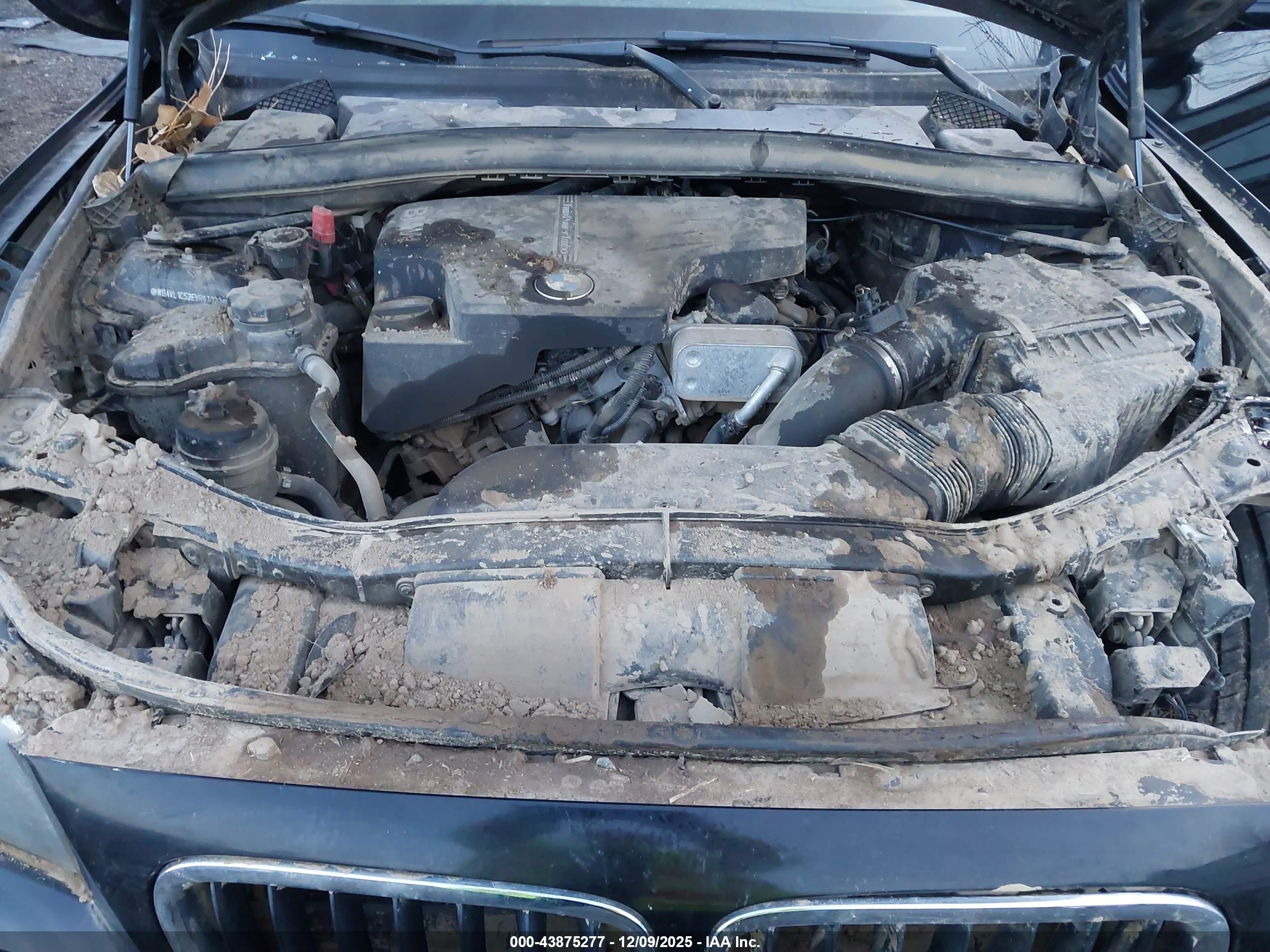 BMW X1 image 10