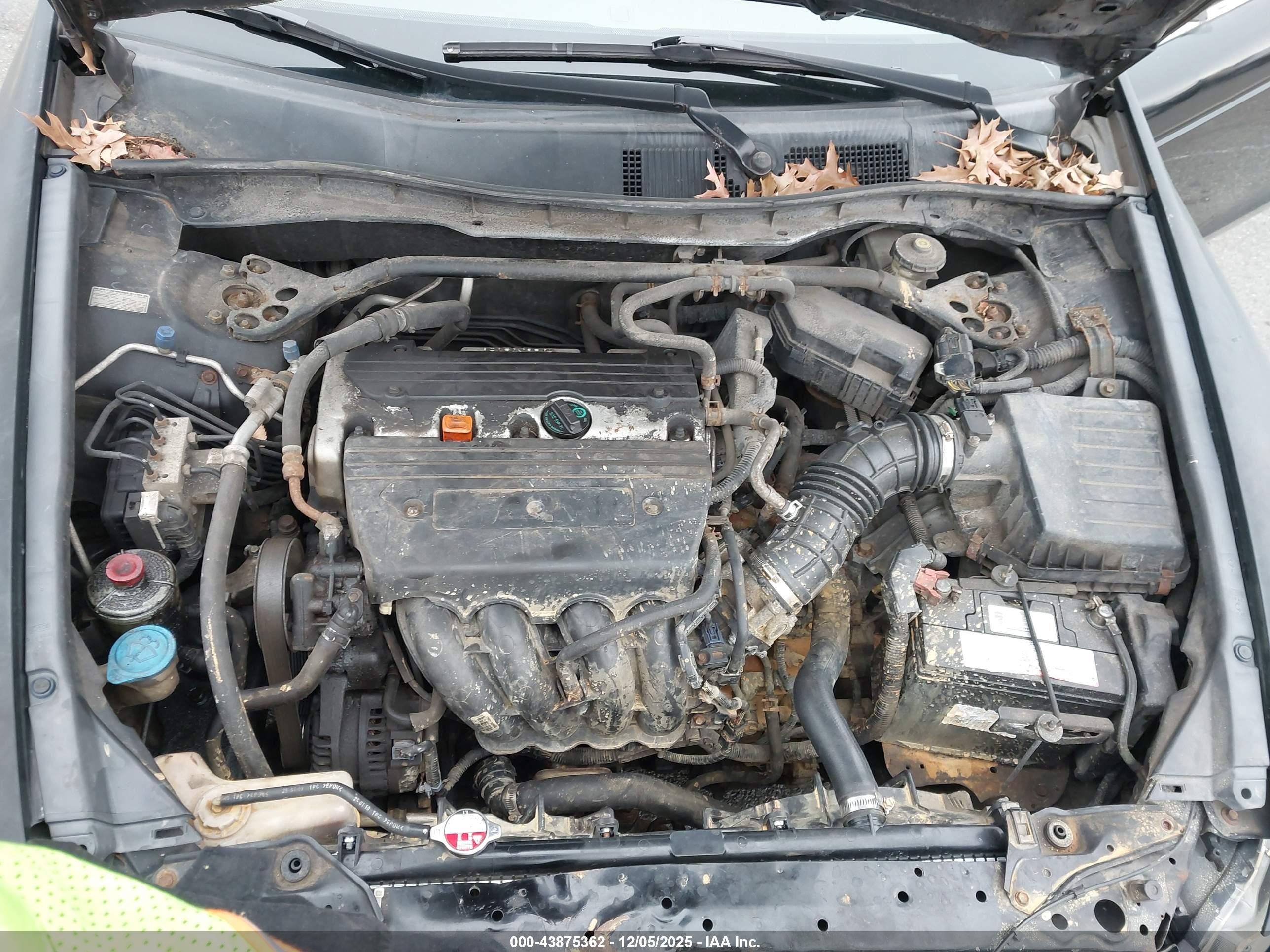 HONDA ACCORD image 10