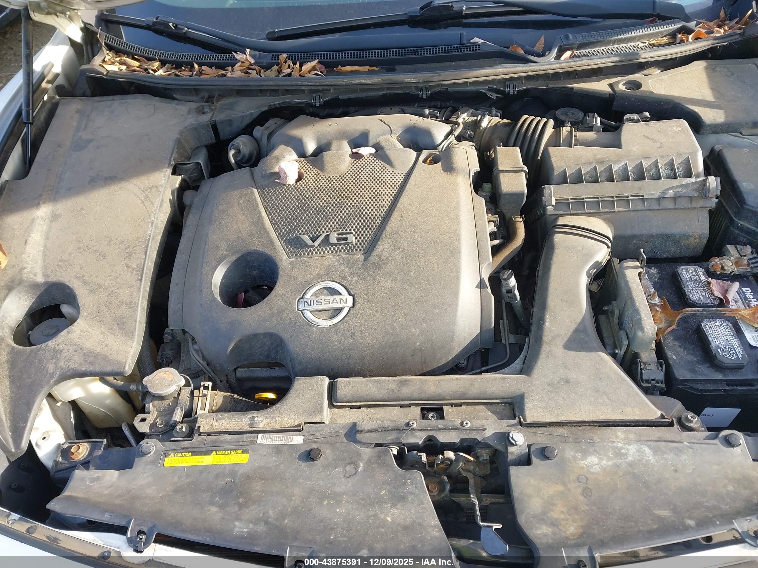 NISSAN MAXIMA image 10