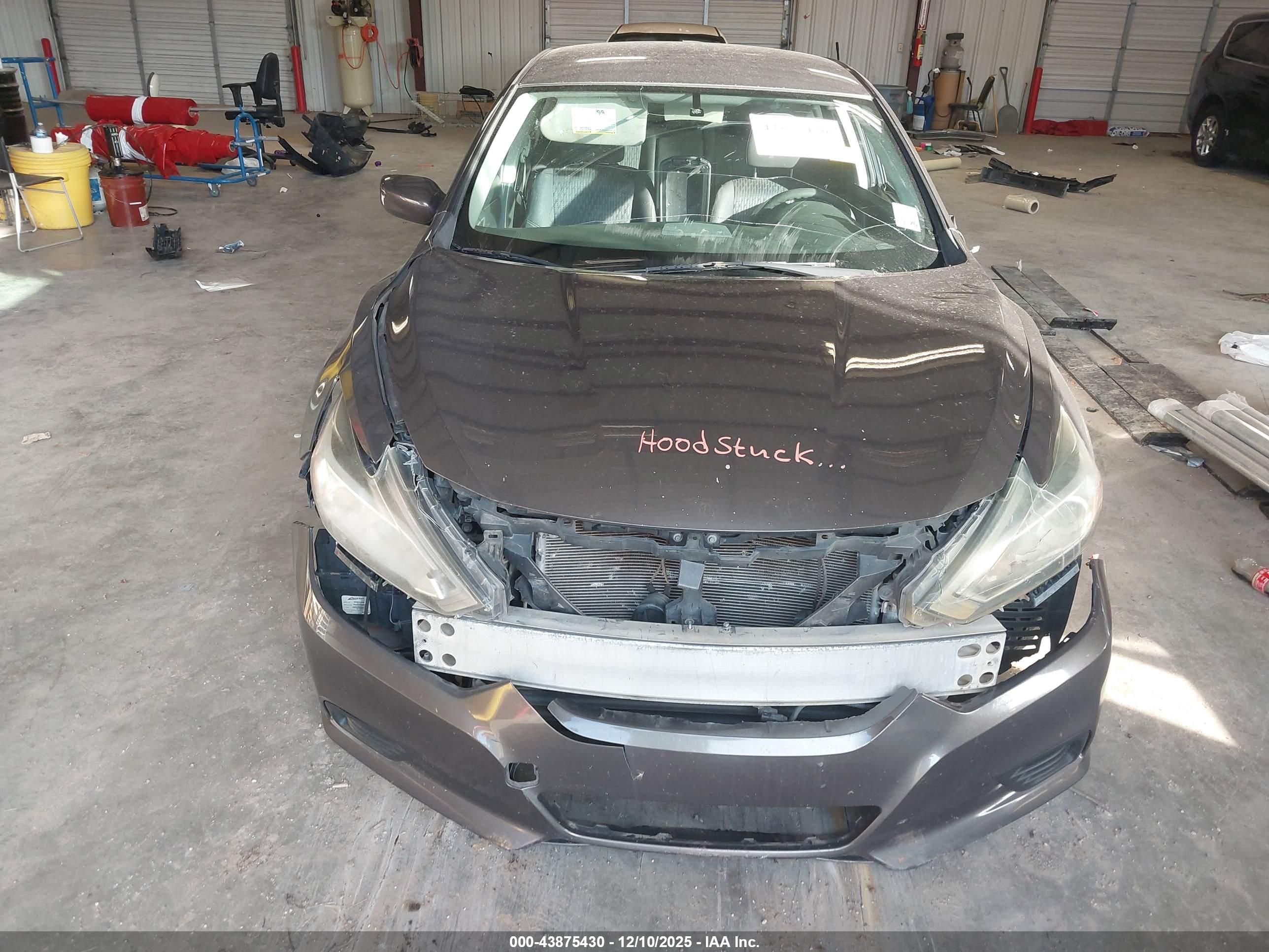 NISSAN ALTIMA image 10