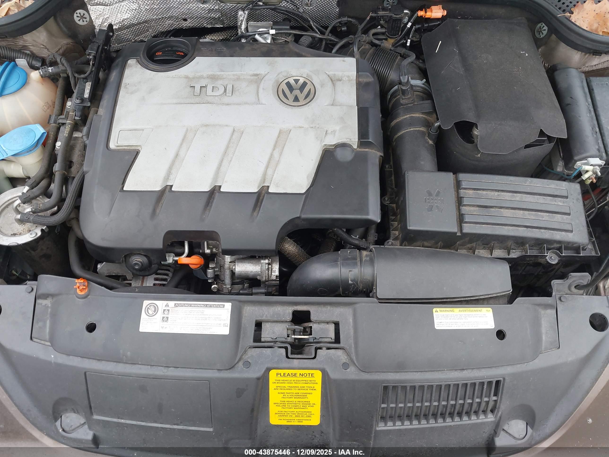 VOLKSWAGEN BEETLE image 10