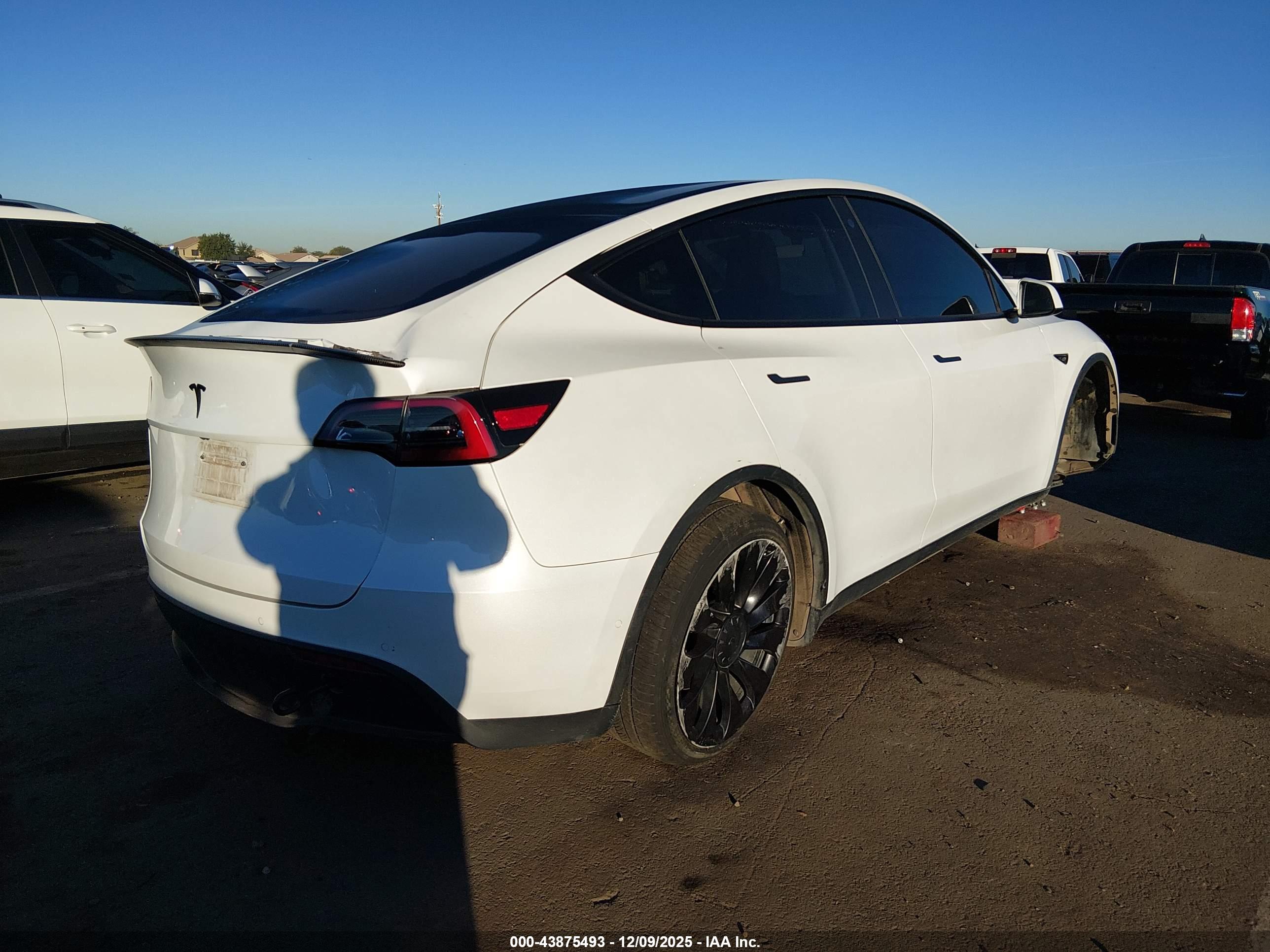 TESLA MODEL image 4