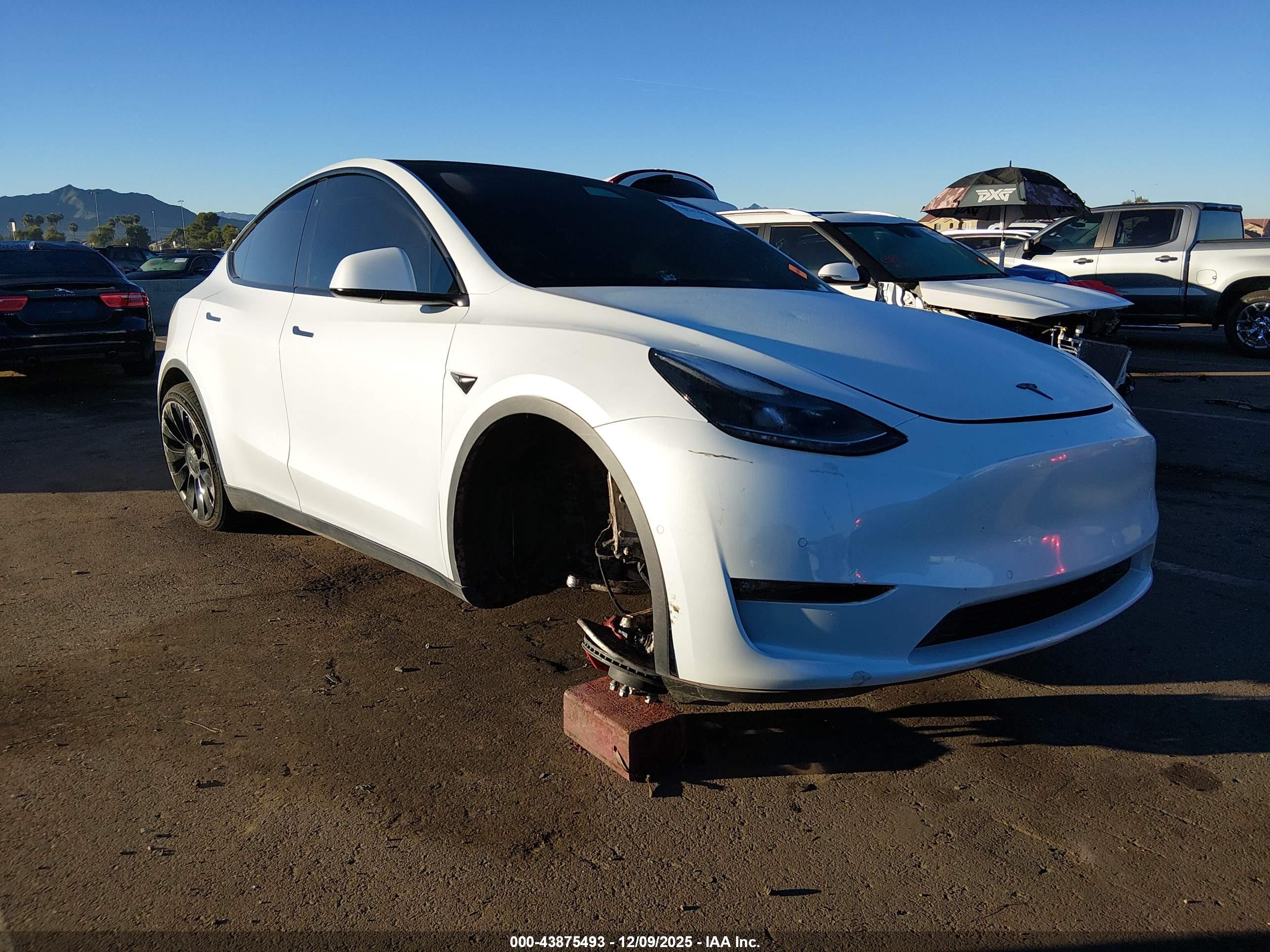 TESLA MODEL image 6