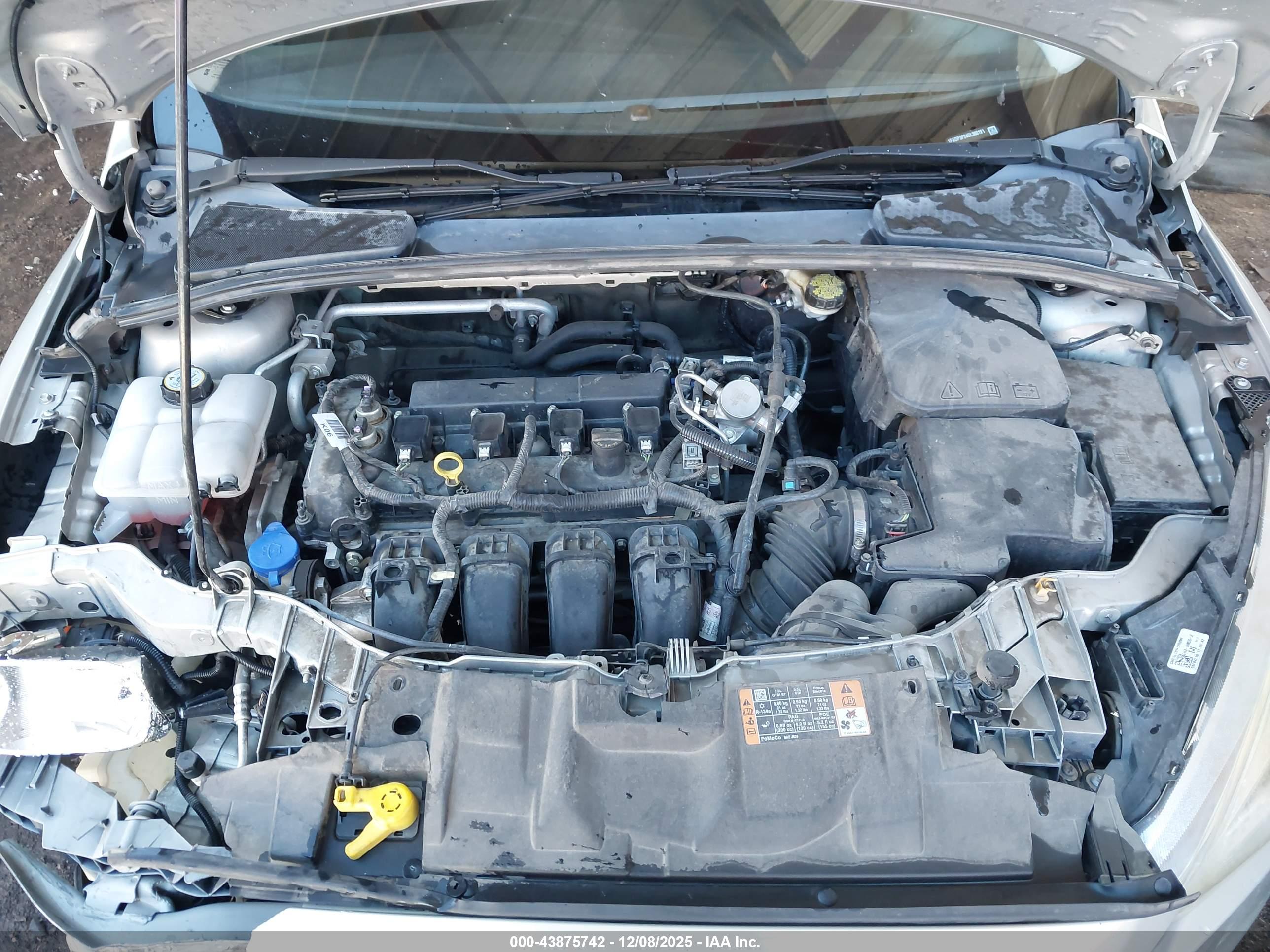 FORD FOCUS image 10