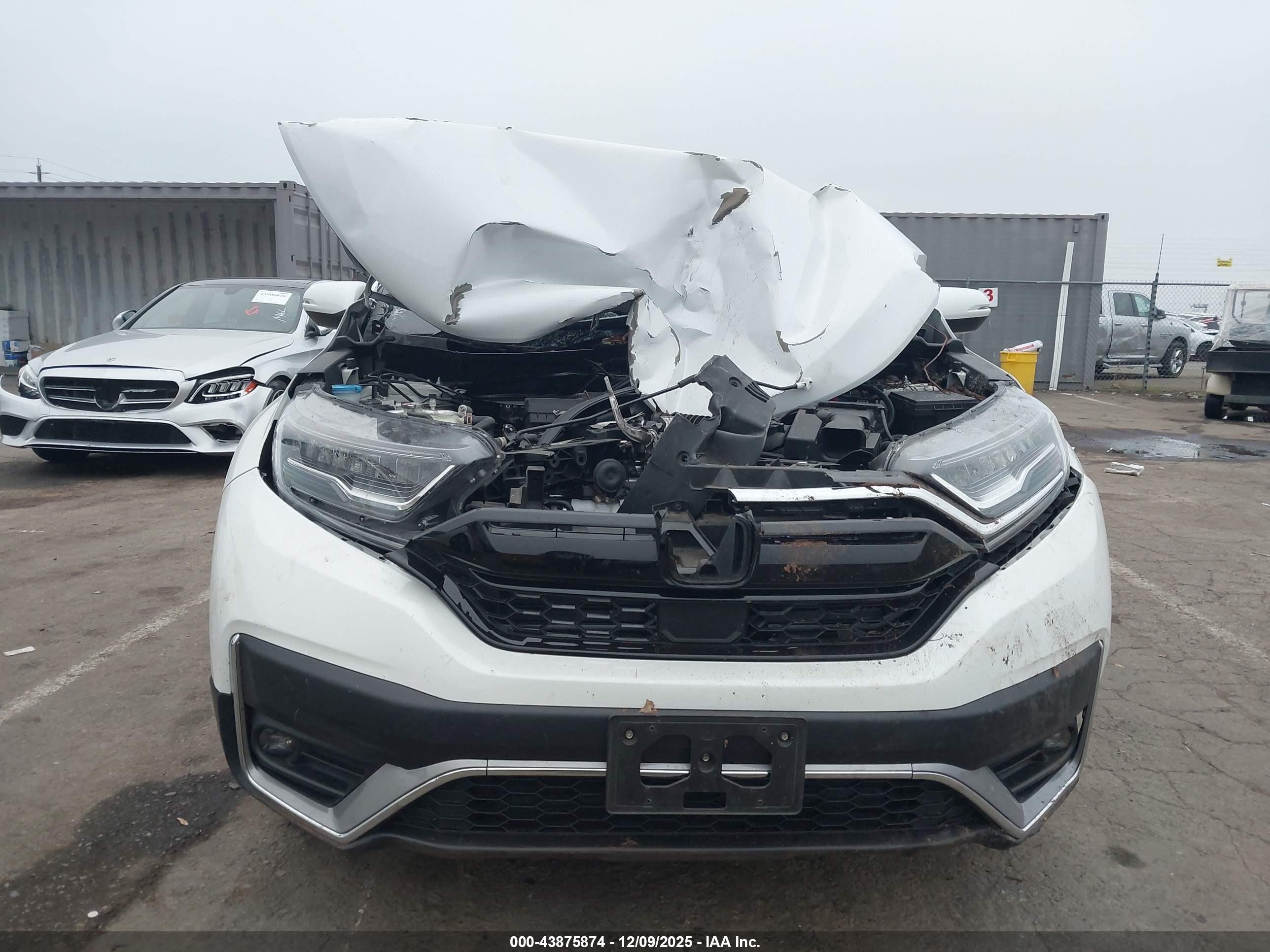 HONDA CR-V image 6