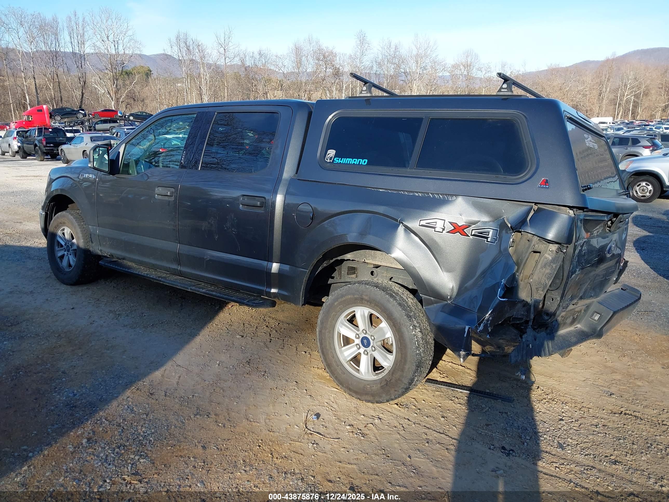 FORD F-150 image 3