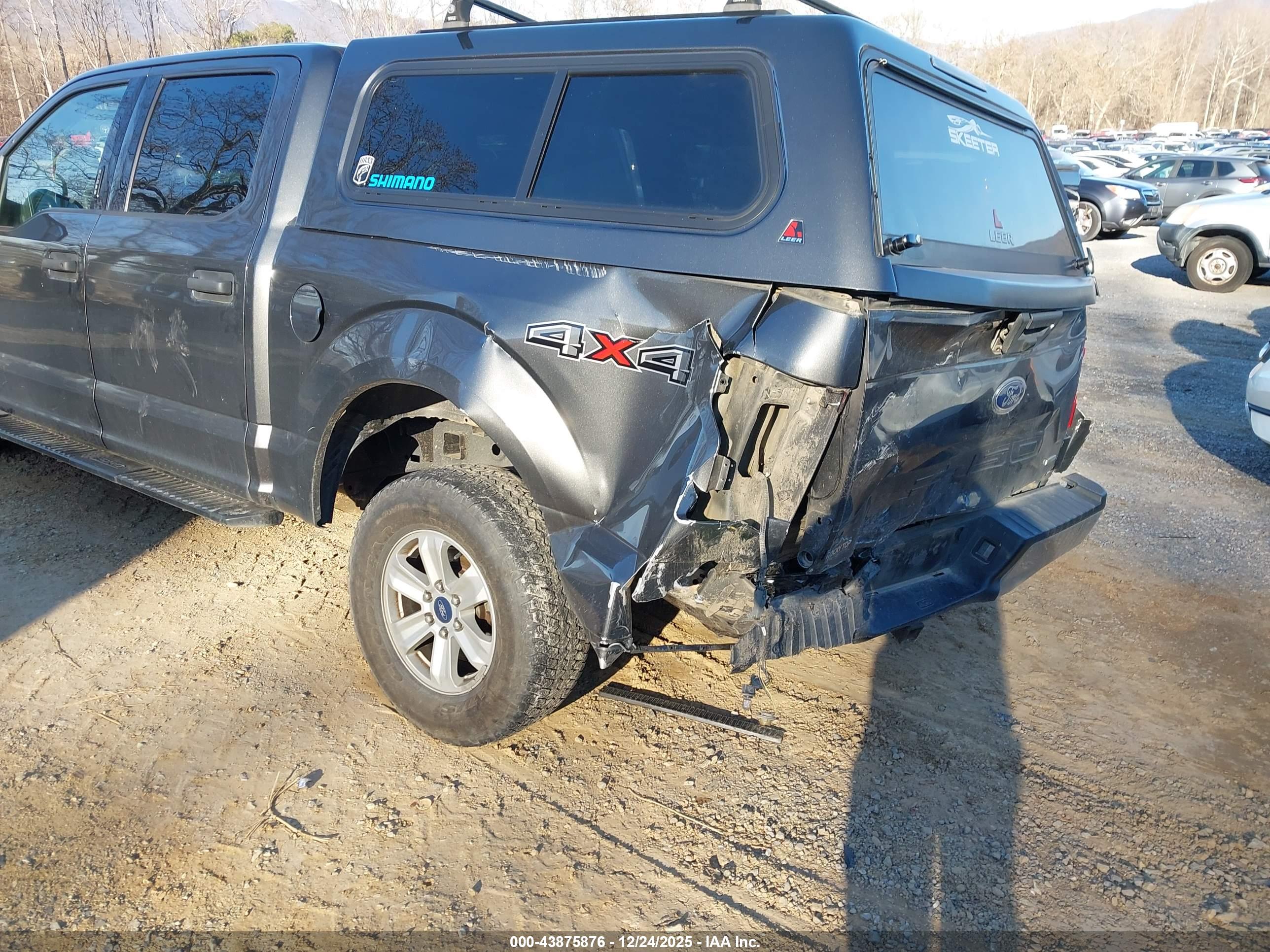 FORD F-150 image 6