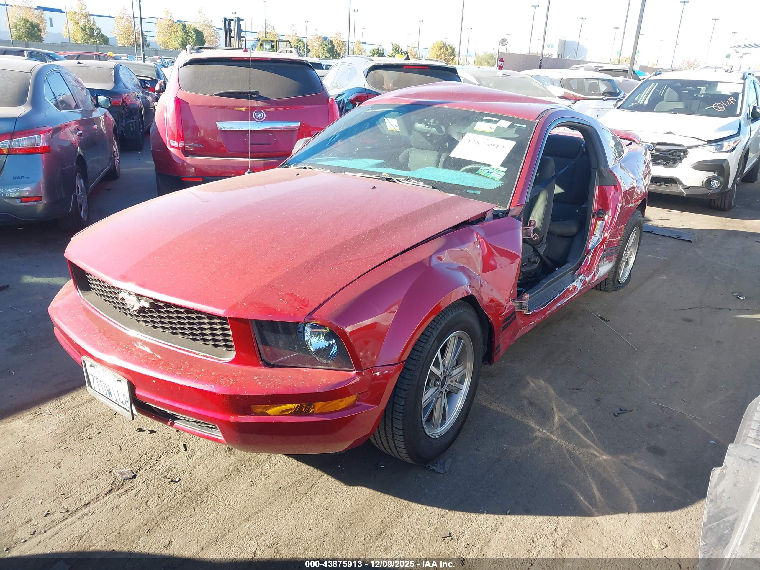 FORD MUSTANG image 2