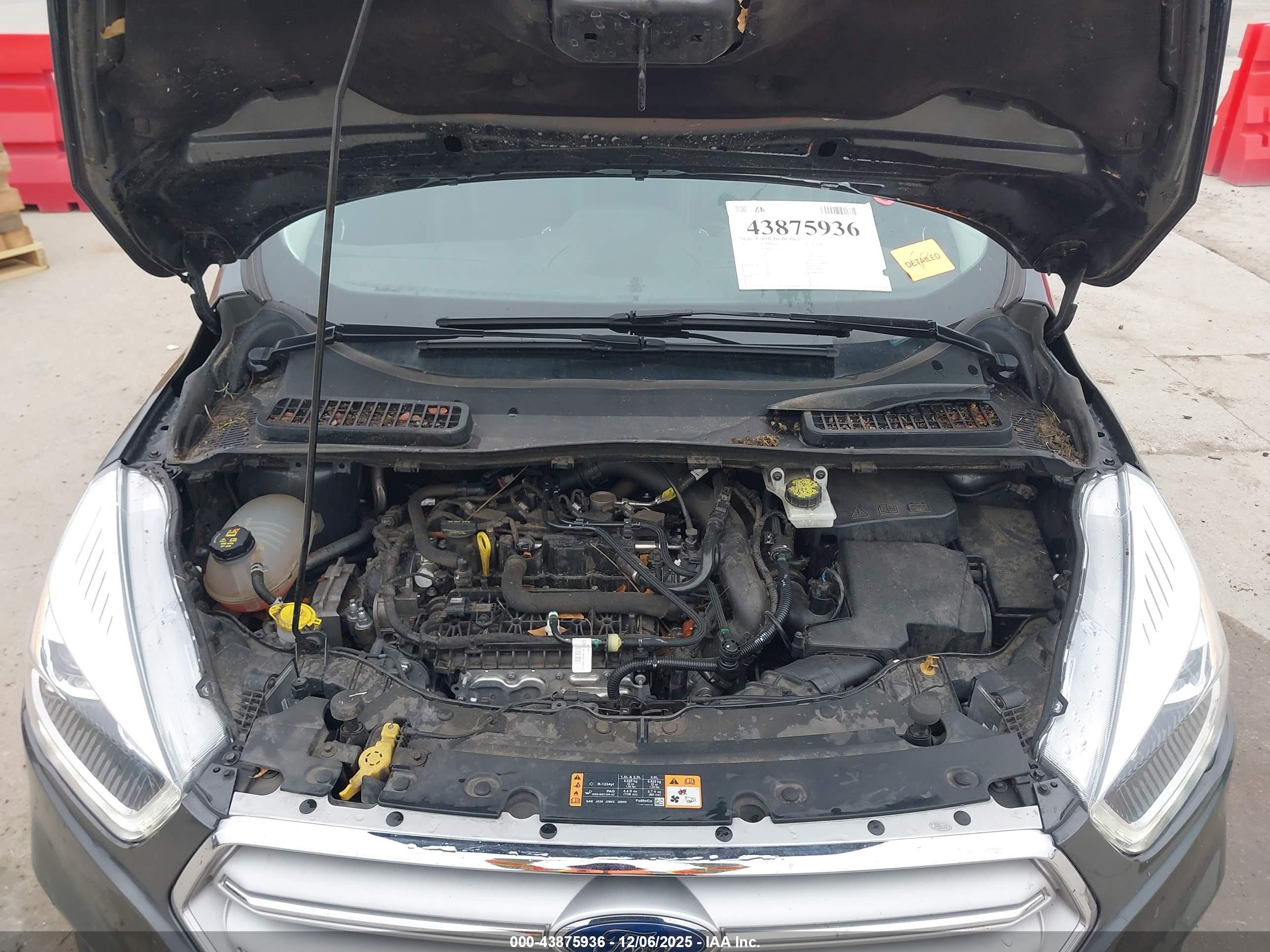 FORD ESCAPE image 10