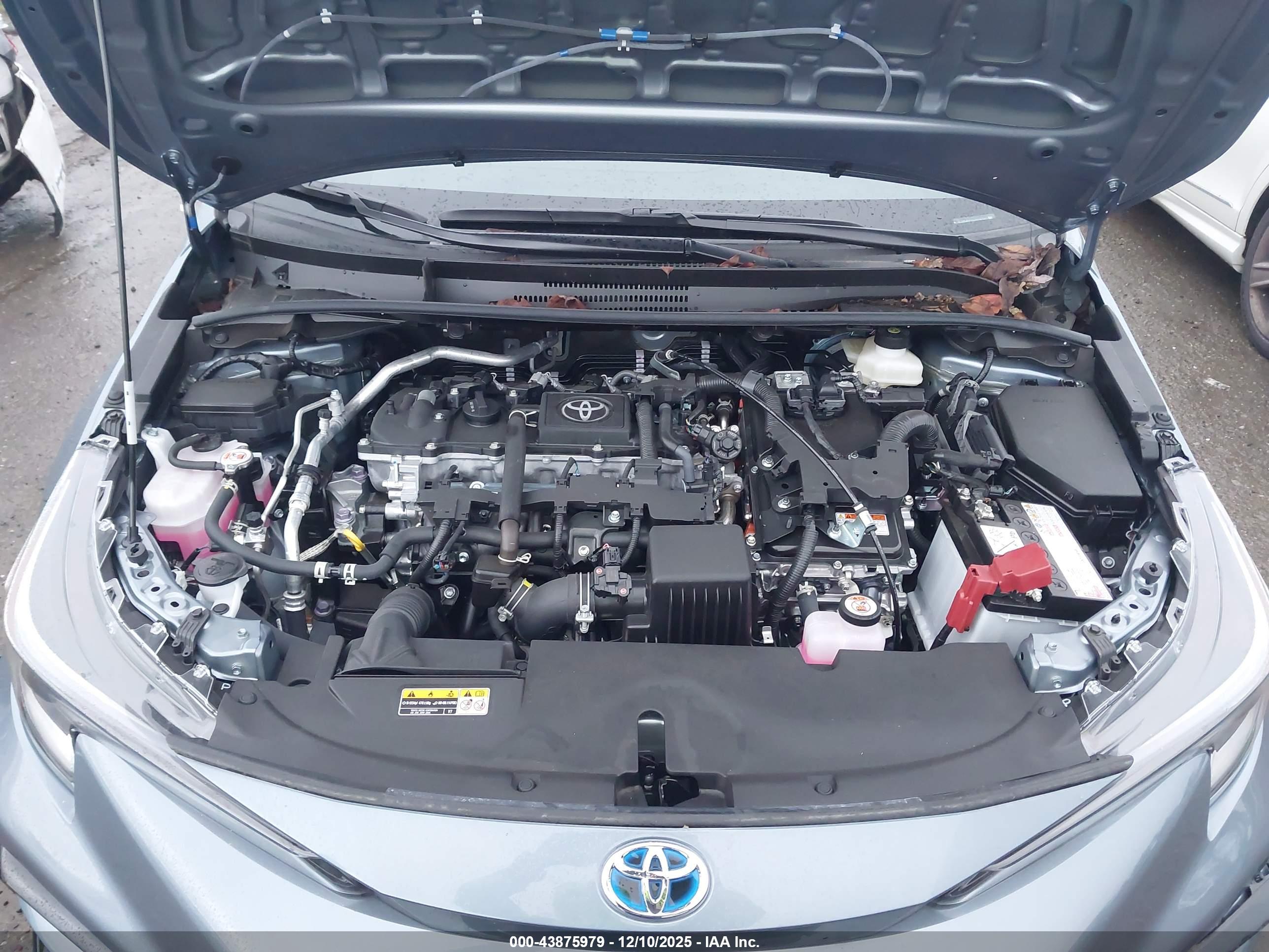 TOYOTA COROLLA image 10