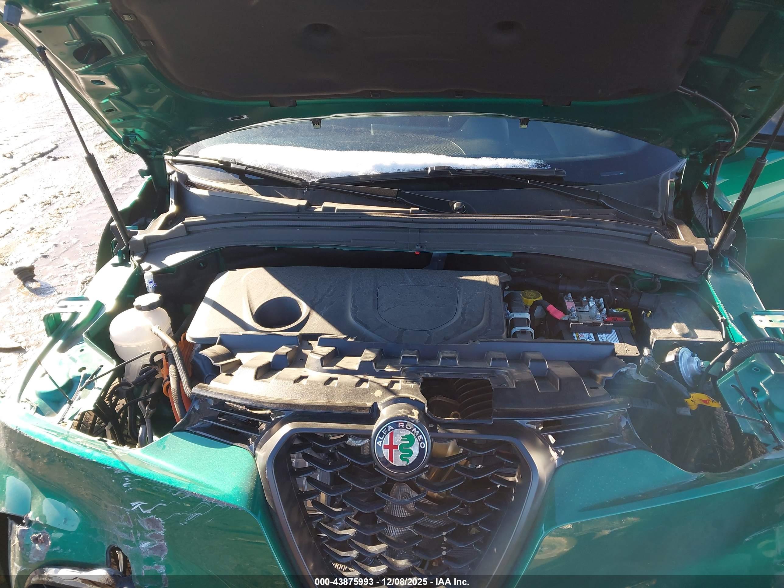 ALFA ROMEO image 10