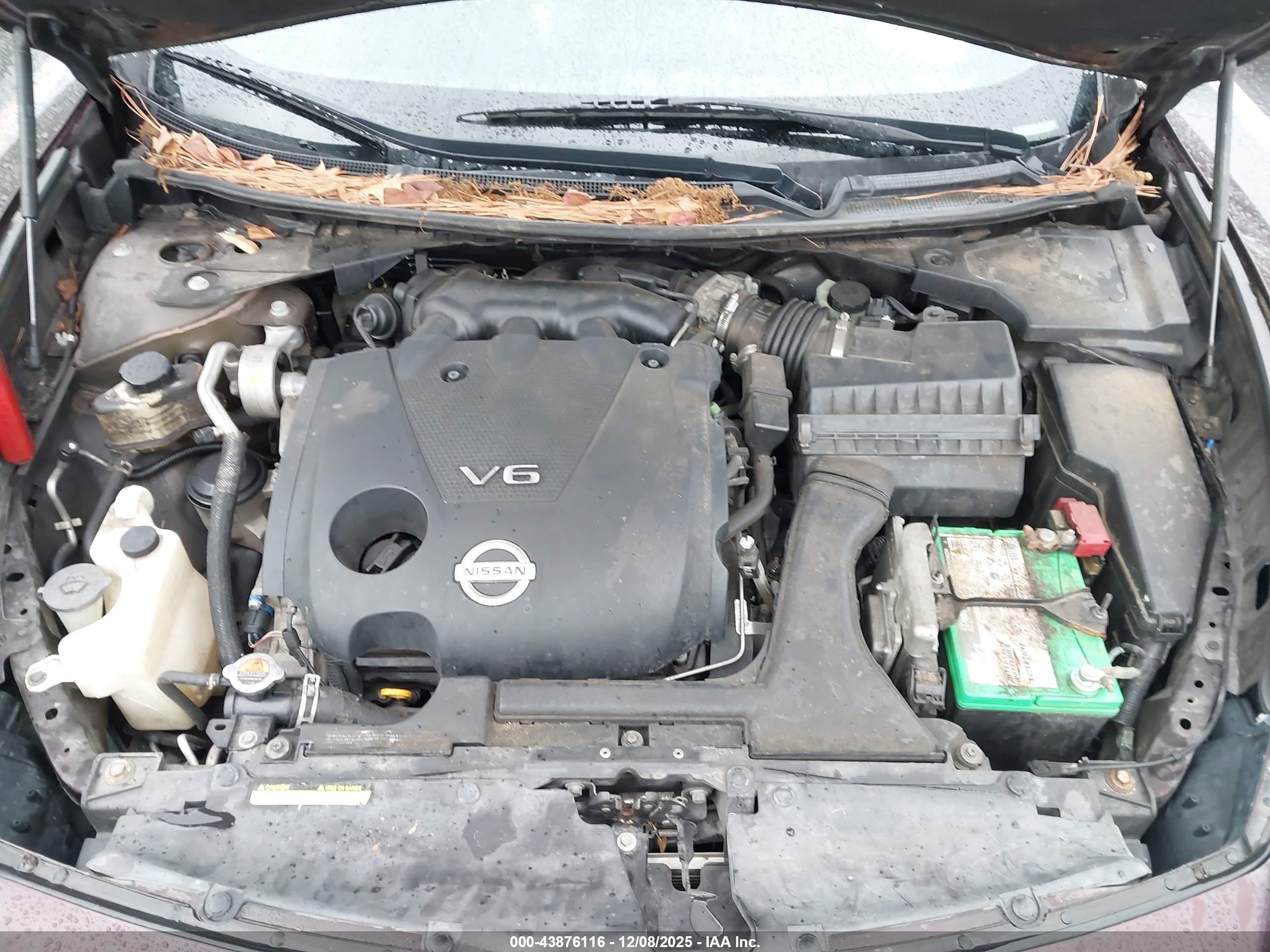 NISSAN MAXIMA image 10