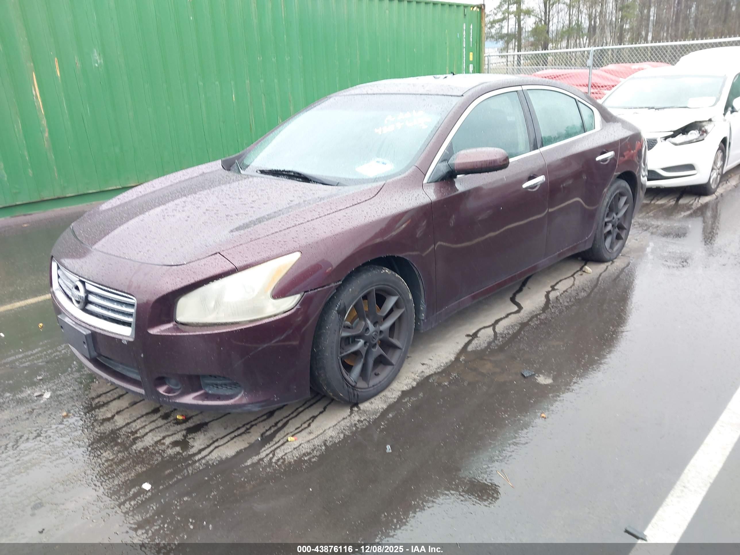 NISSAN MAXIMA image 2