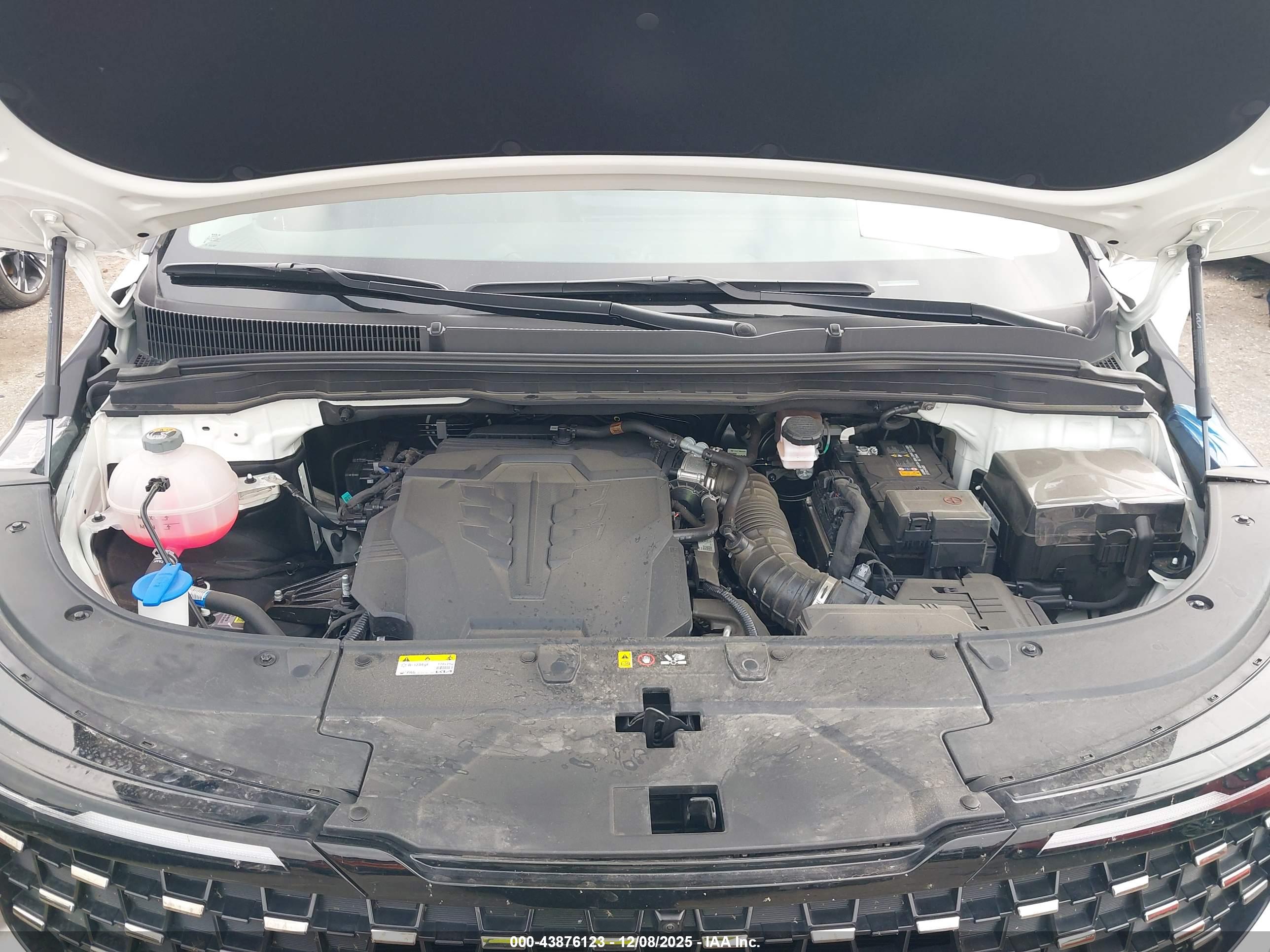 KIA CARNIVAL image 10