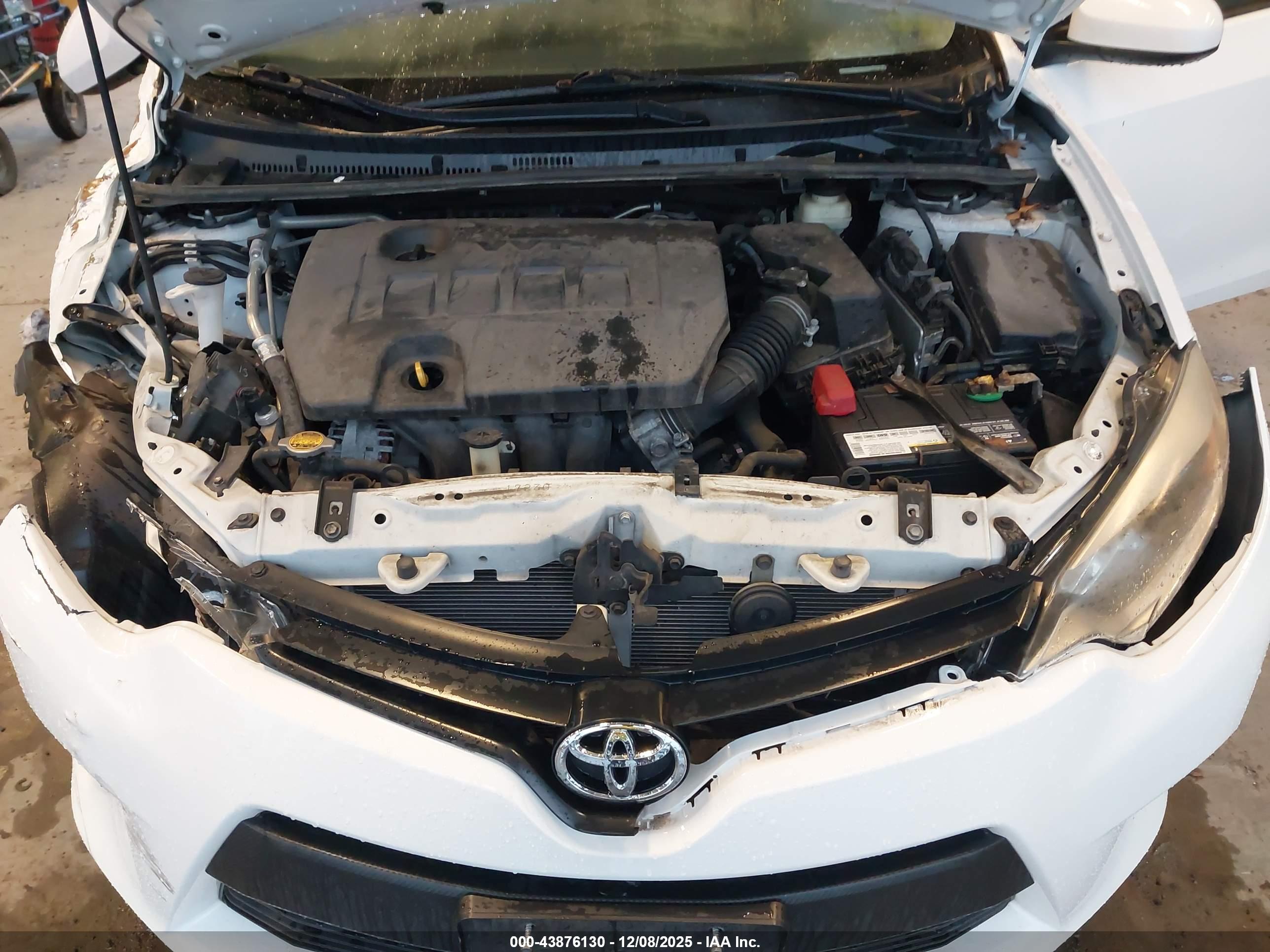 TOYOTA COROLLA image 10