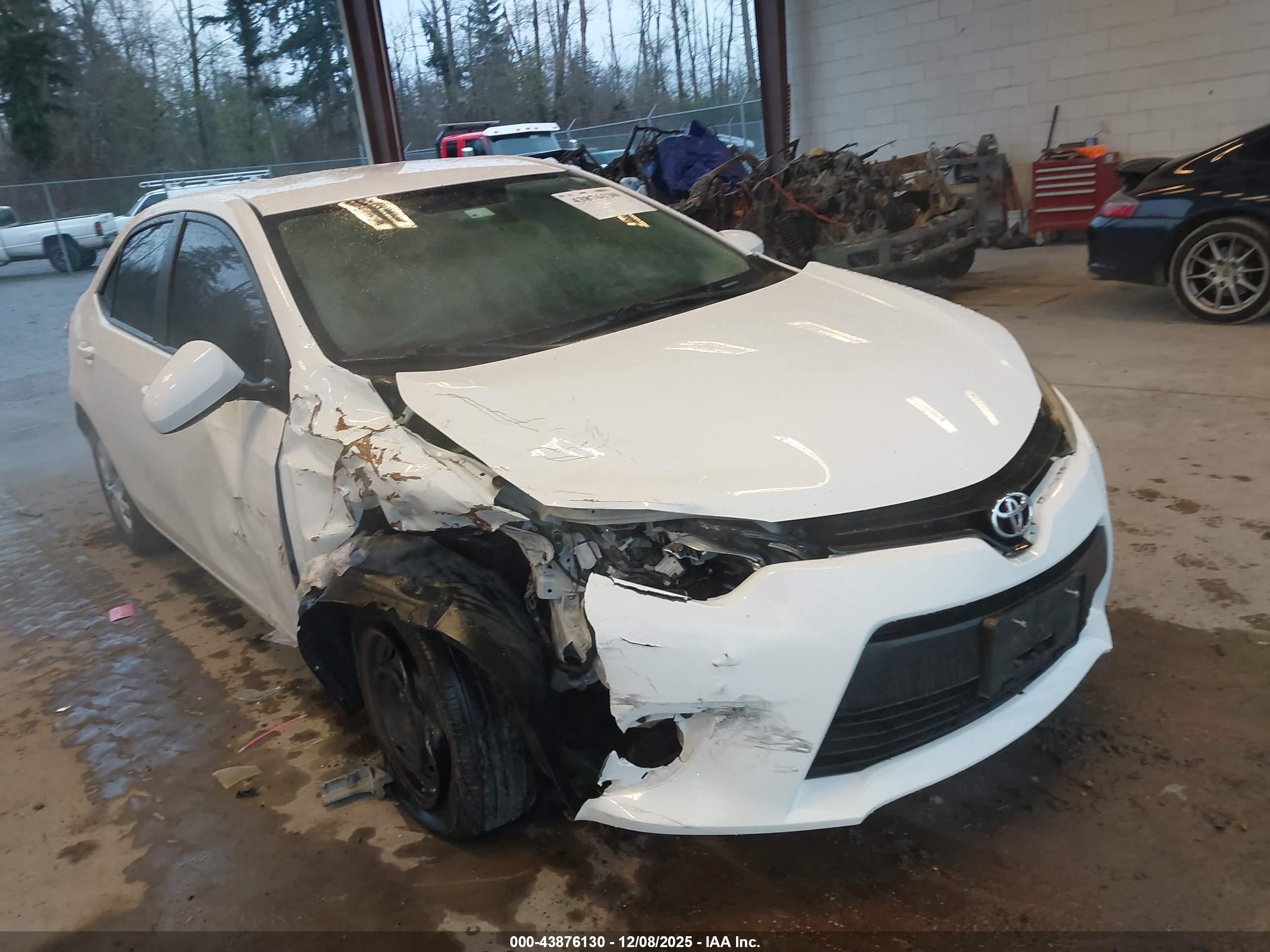 TOYOTA COROLLA image 6