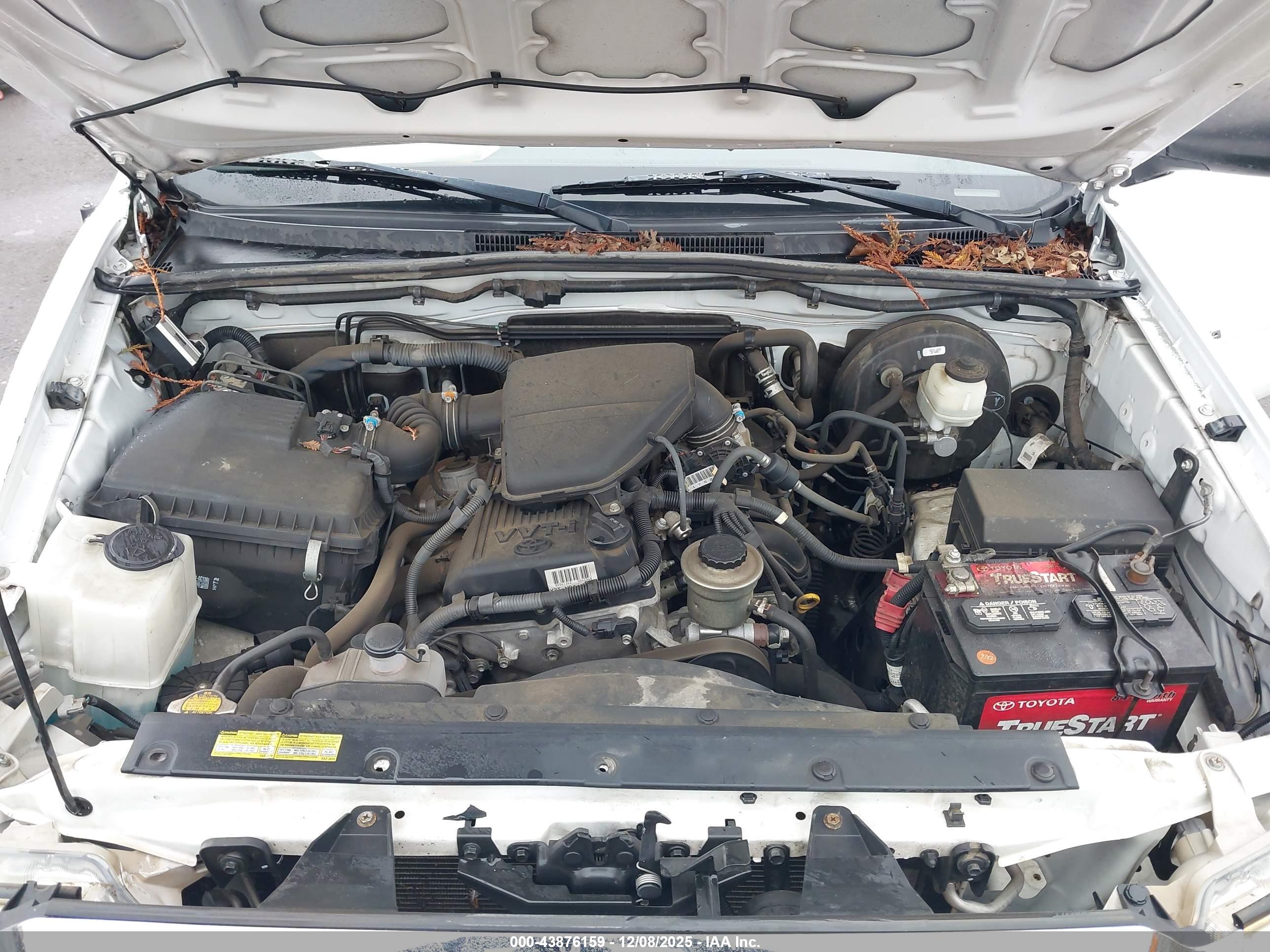 TOYOTA TACOMA image 10