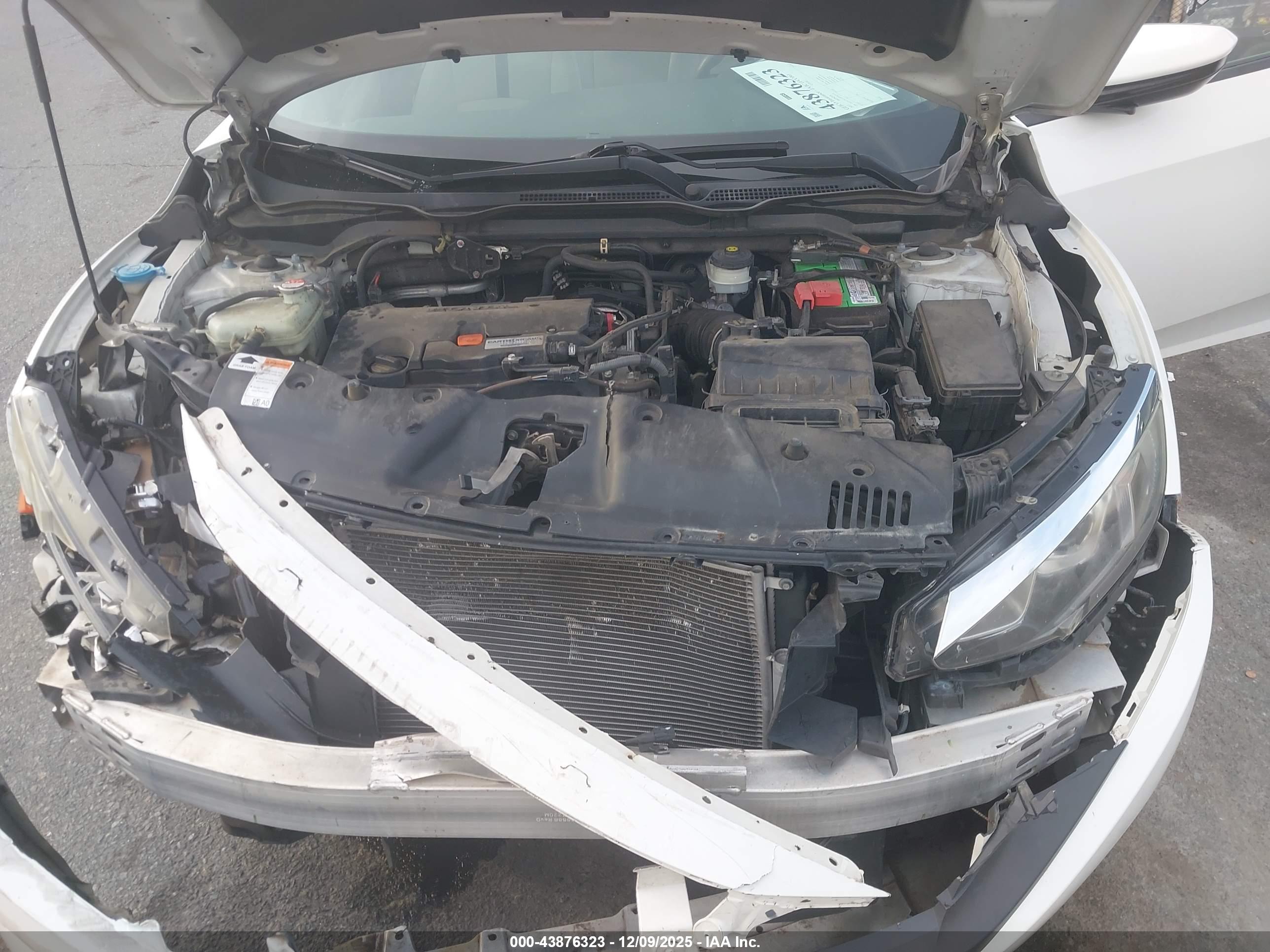 HONDA CIVIC image 10