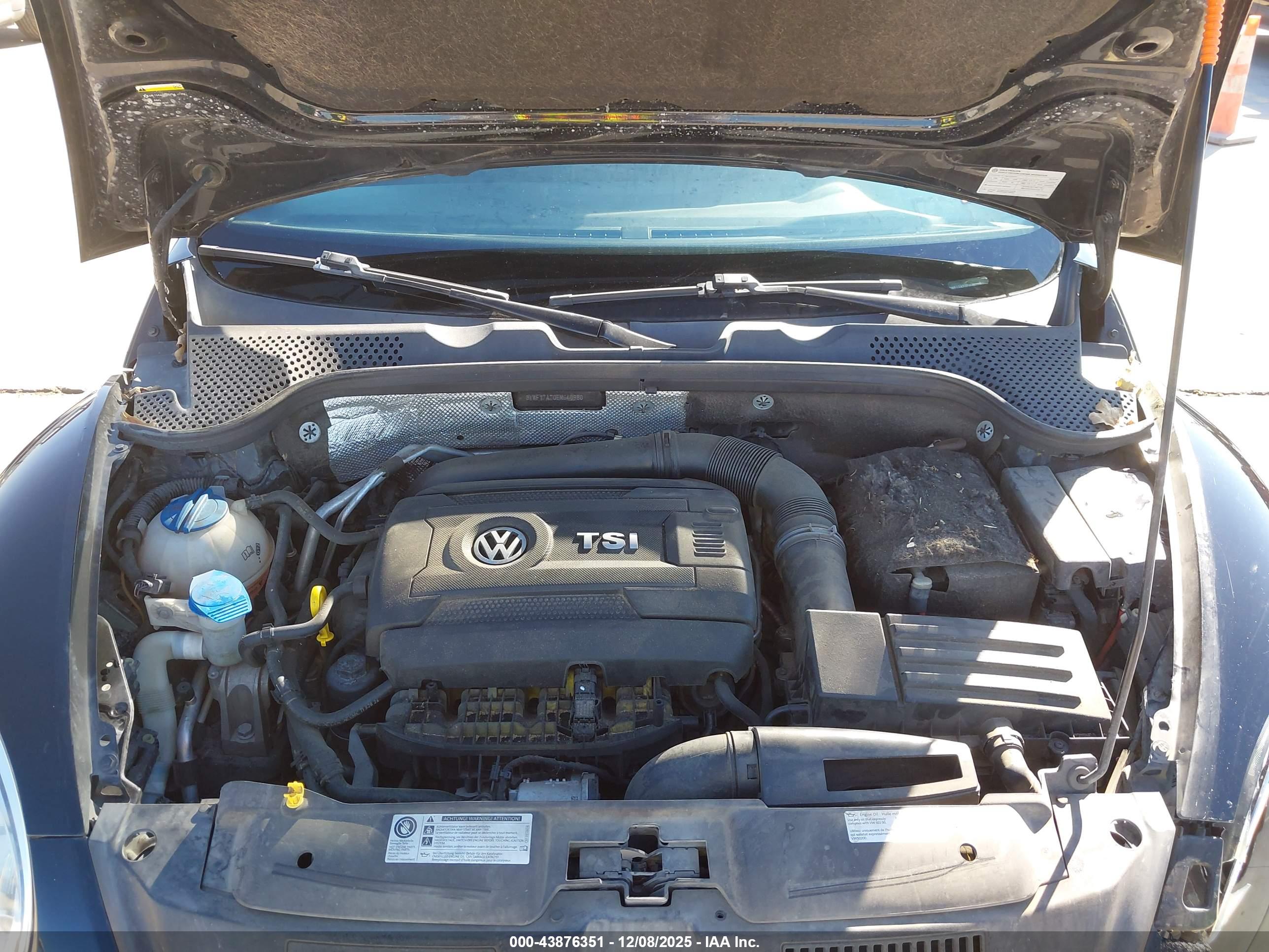 VOLKSWAGEN BEETLE image 10